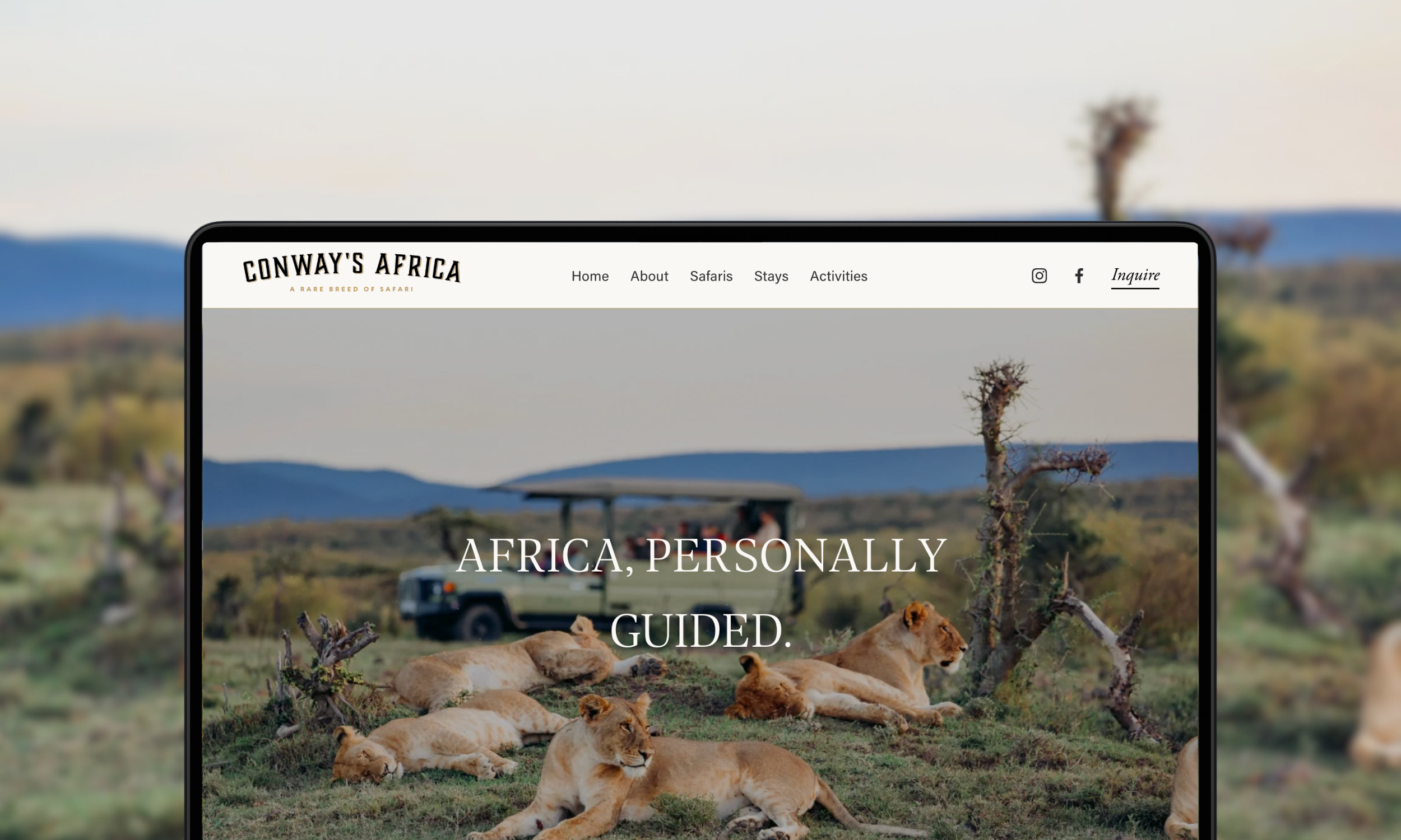 Case Study: Conway's Africa — From a Dated Startup Site to a Story-Driven Safari Brand
