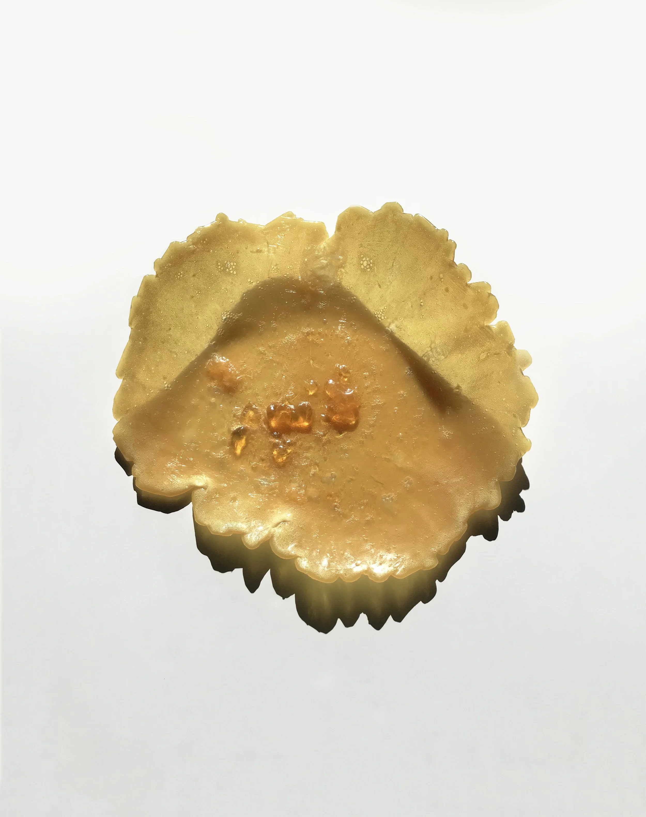 Lichen, 2025. Hand soap on artboard.