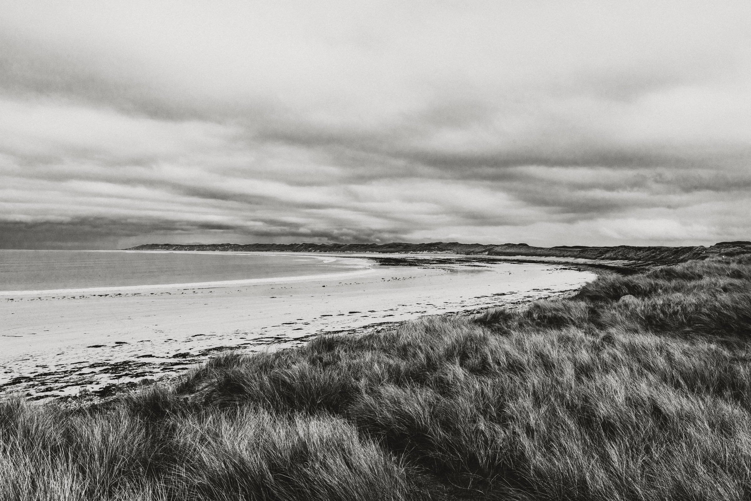 Donegal-3.jpg