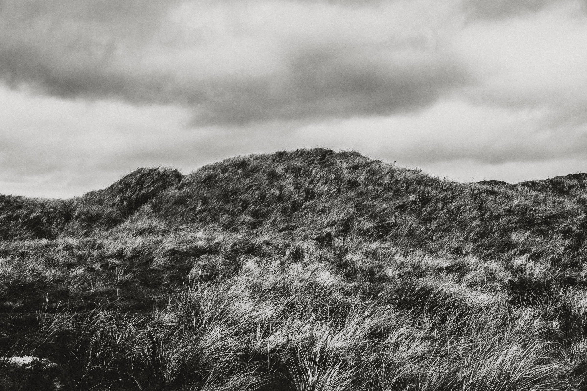 Donegal-5.jpg
