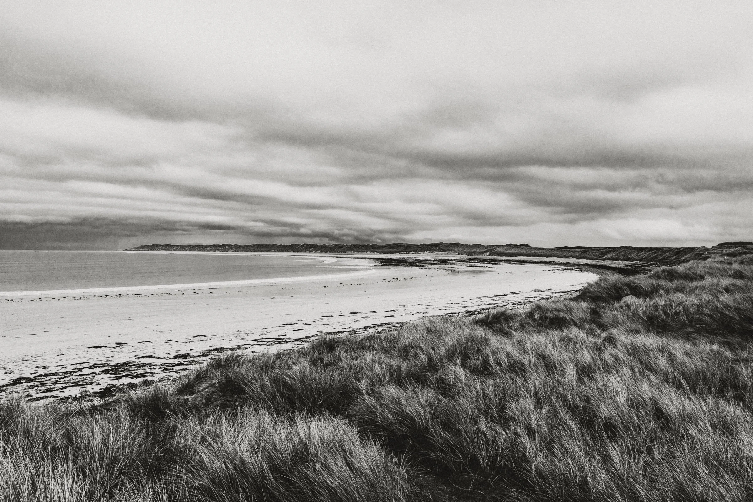 Donegal-3.jpg