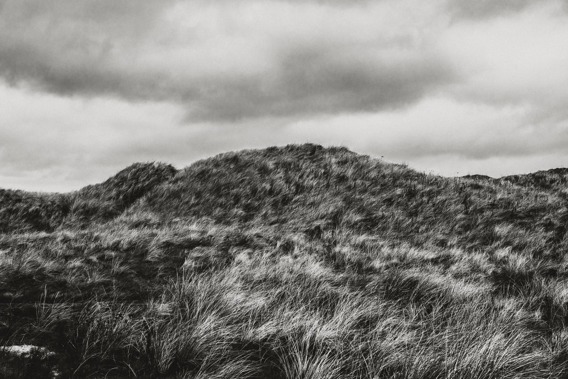 Donegal-5.jpg