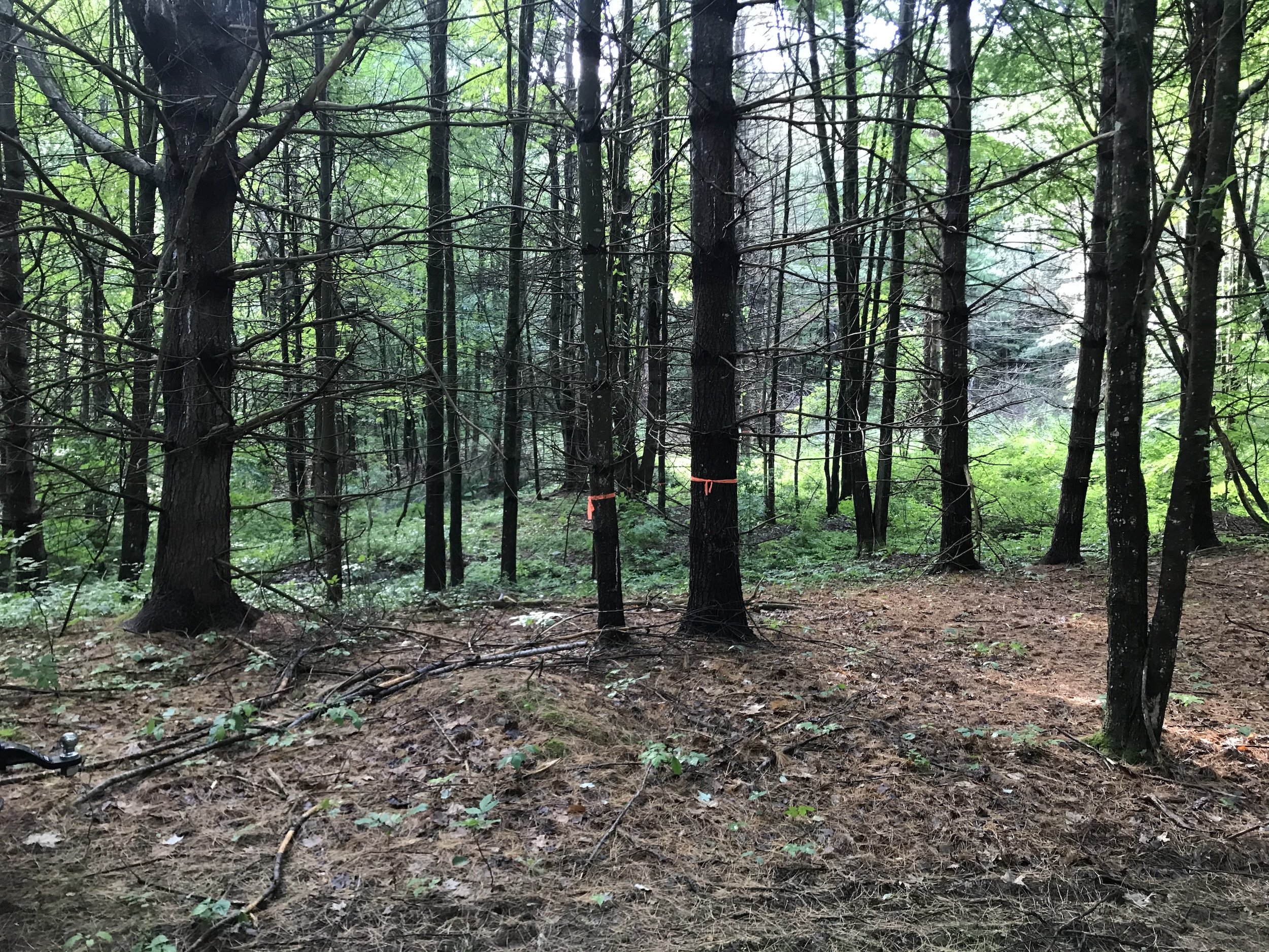 ll-earthworx-site prep-foundation excavation-1.jpeg