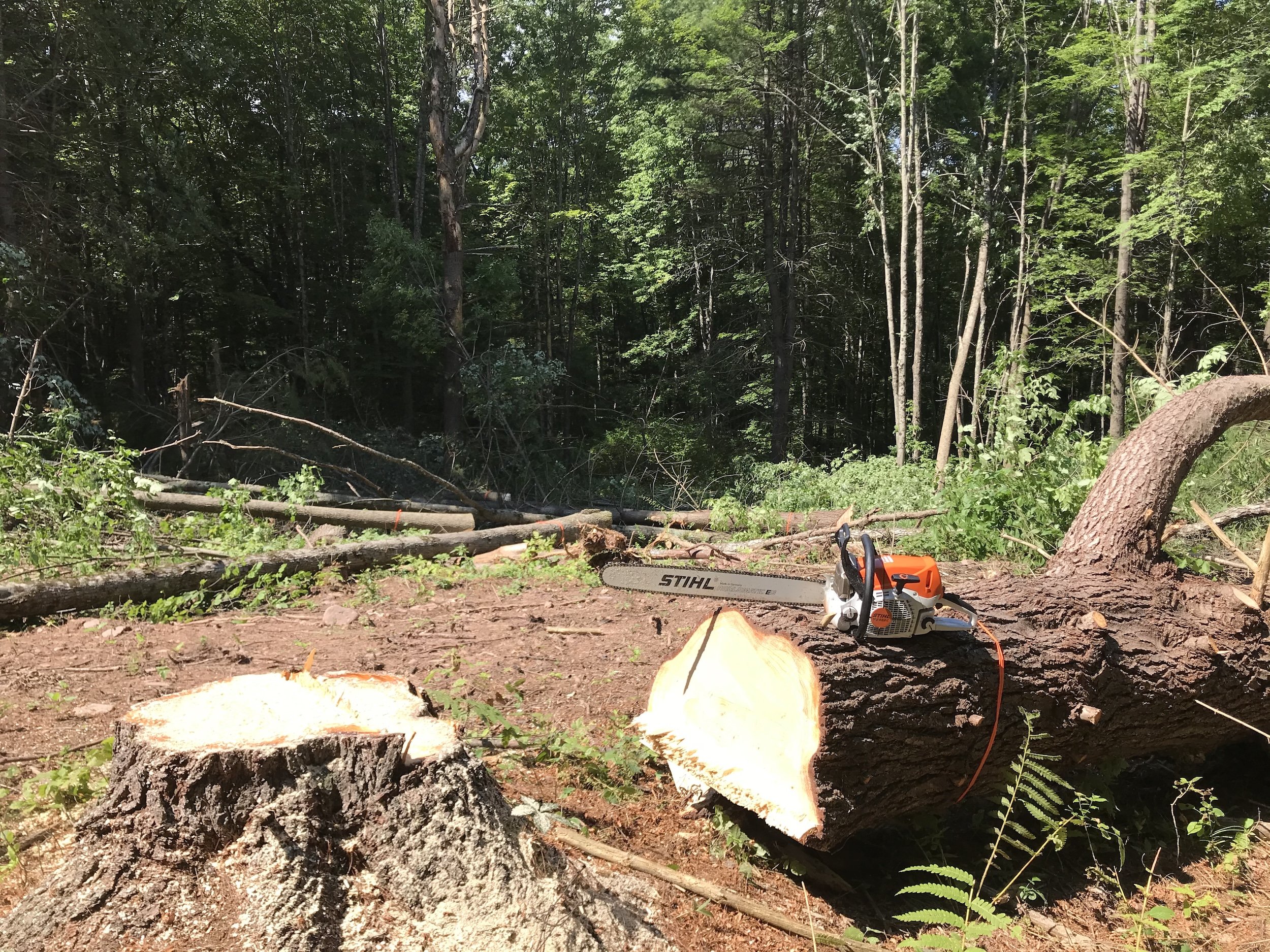 ll-earthworx-site prep-foundation excavation-3.jpeg