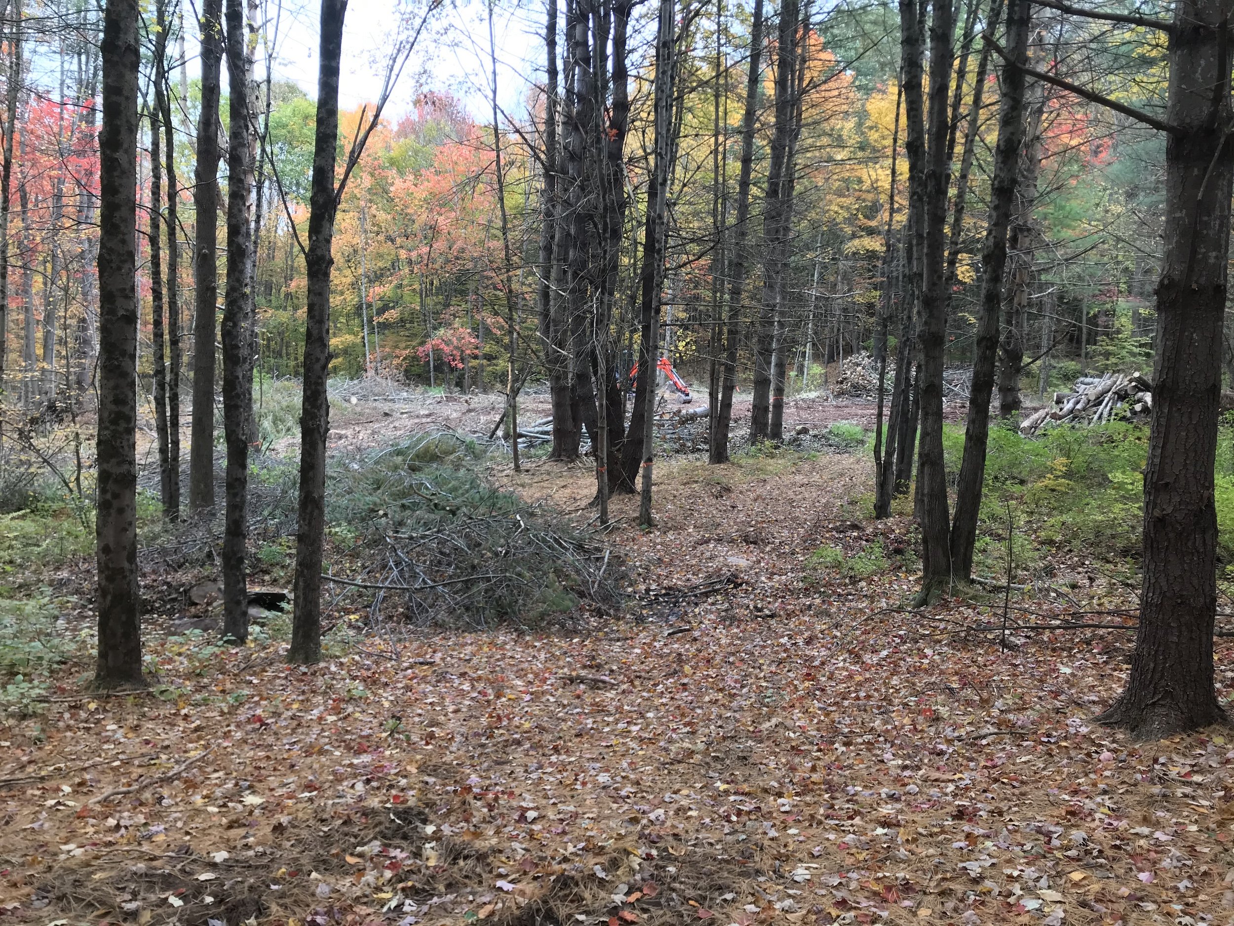 ll-earthworx-site prep-foundation excavation-4.jpeg