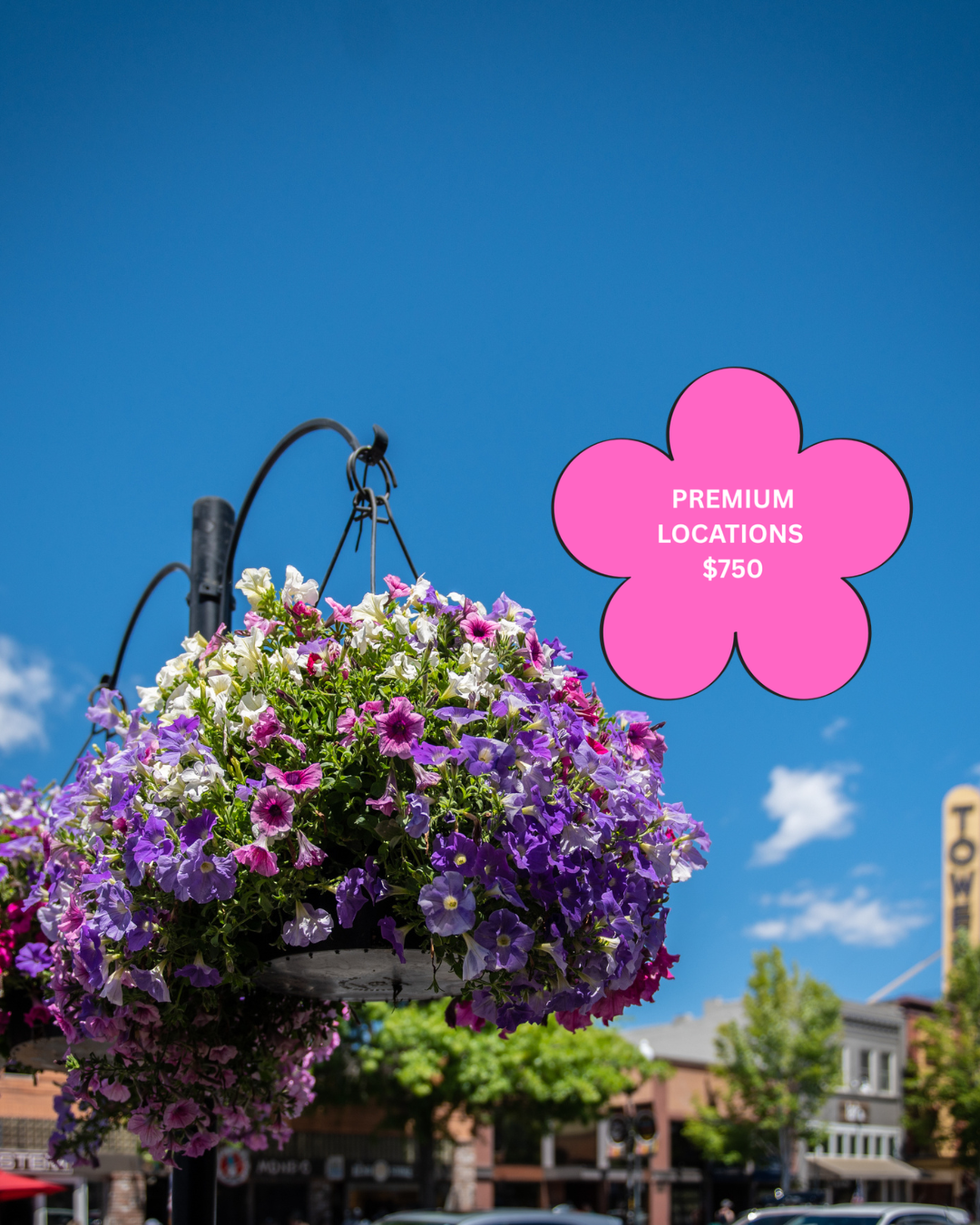 Flower Basket Sponsorship (Premium Locations)