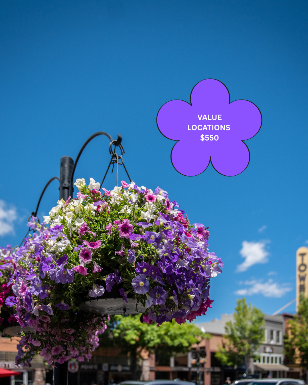 Flower Basket Sponsorship (Value Locations)