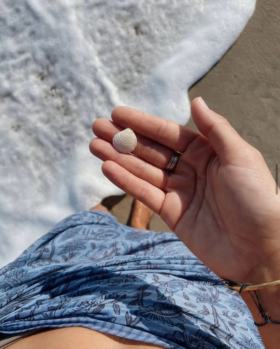 shaped by the sea + reimagined in gold 🐚 my vision for rosa solis is to use shells from our surrounding bay and ocean and cast them into small gold pendants we can wear and treasure forever ✨ guess which shell we are starting with ! 😌