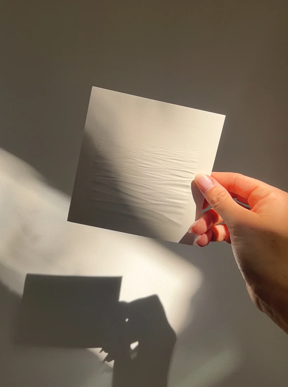 The Embossed Insert by Sunday to Sunset