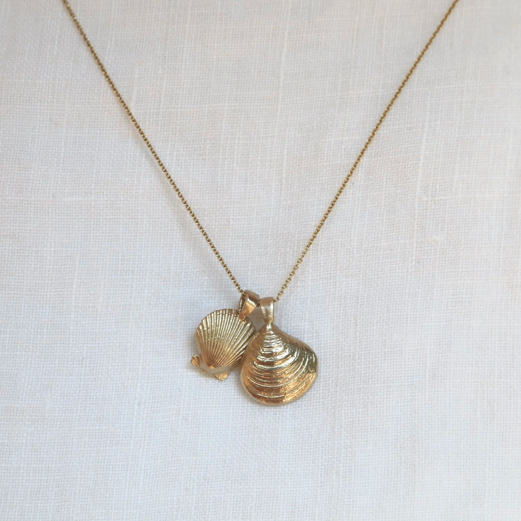Atlantic Bay Scallop + Chestnut Clam Necklace - 14k solid gold