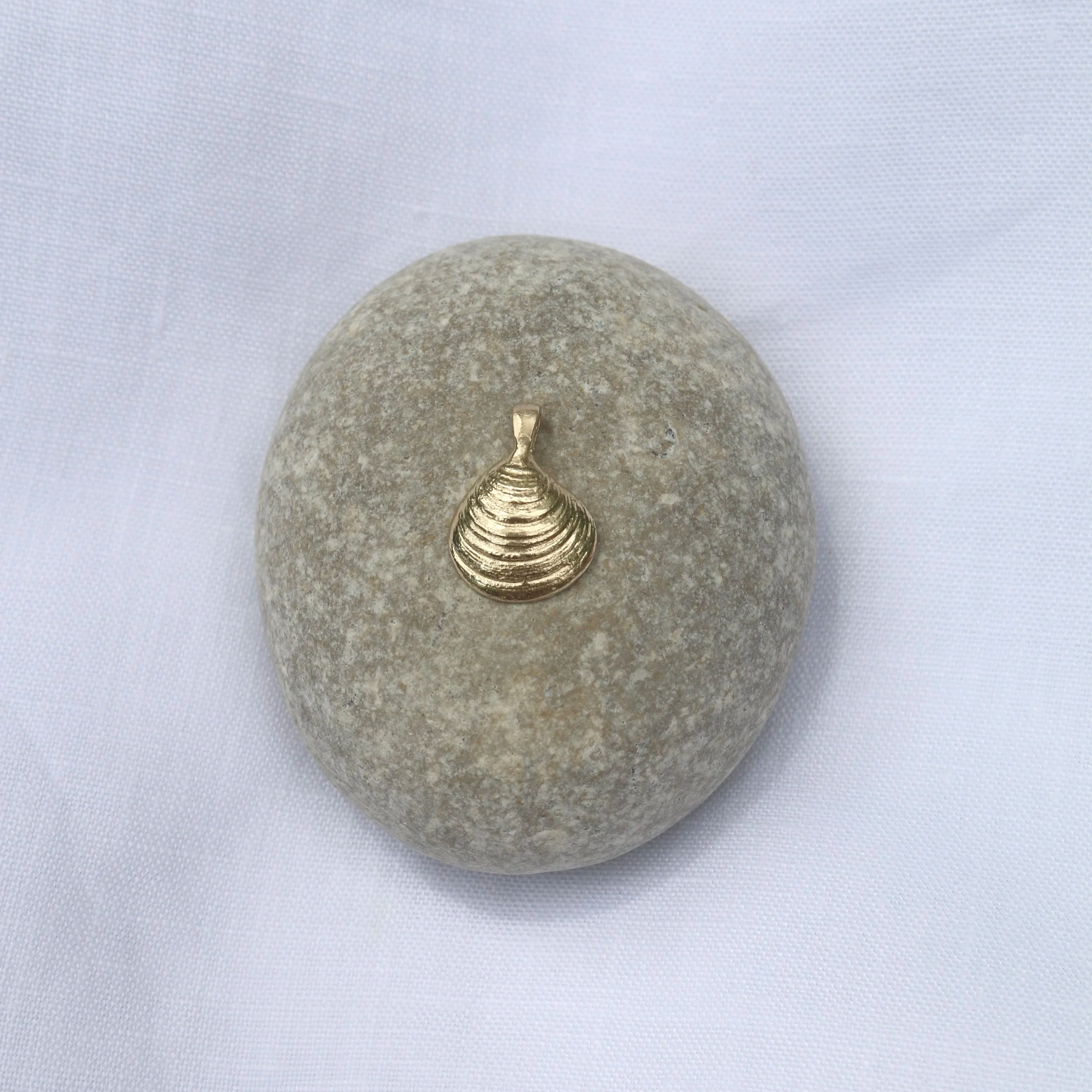 Chestnut Clam - 14k solid gold - *pendant only*
