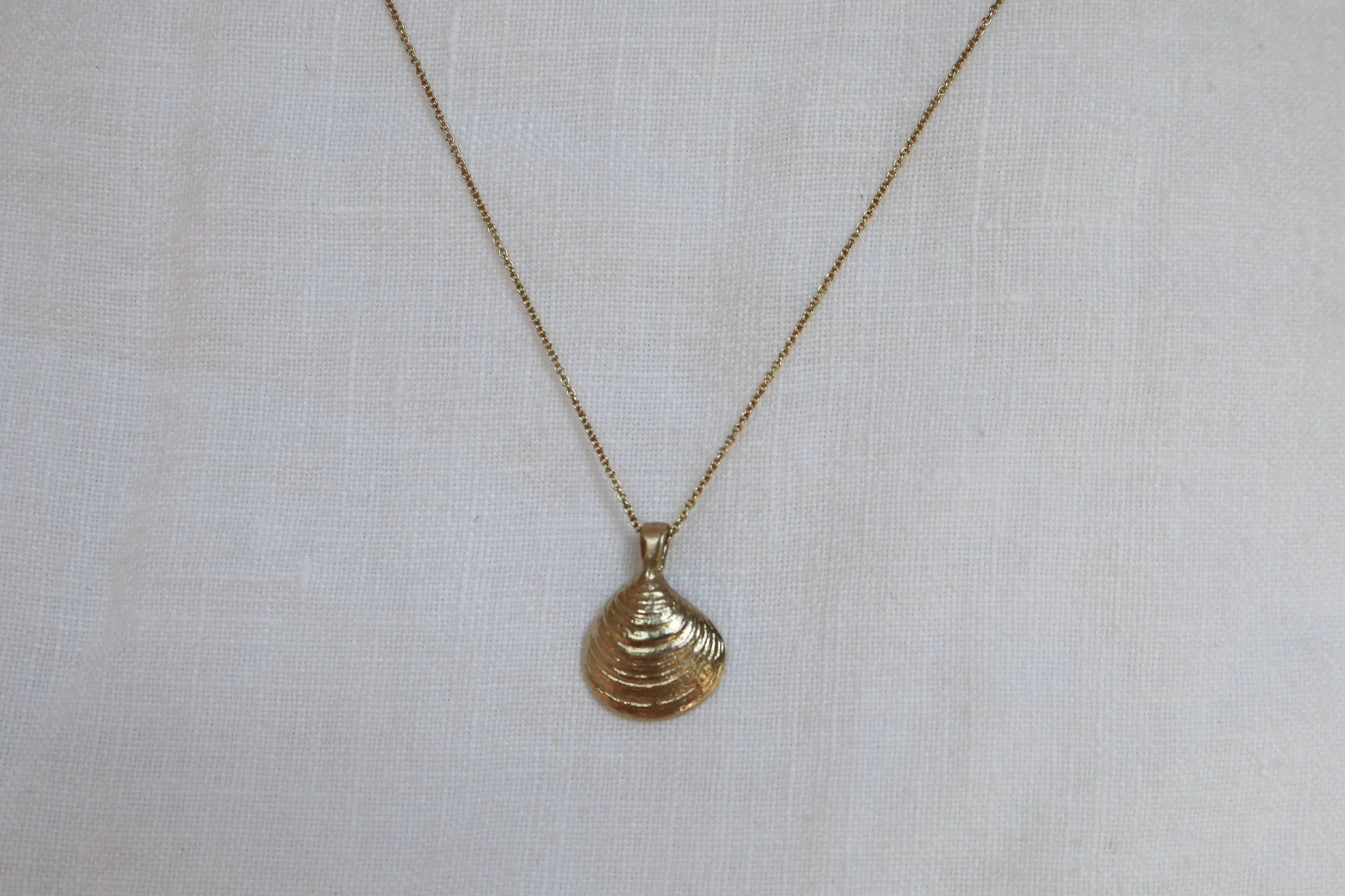 Chestnut Clam Necklace - 14k solid gold