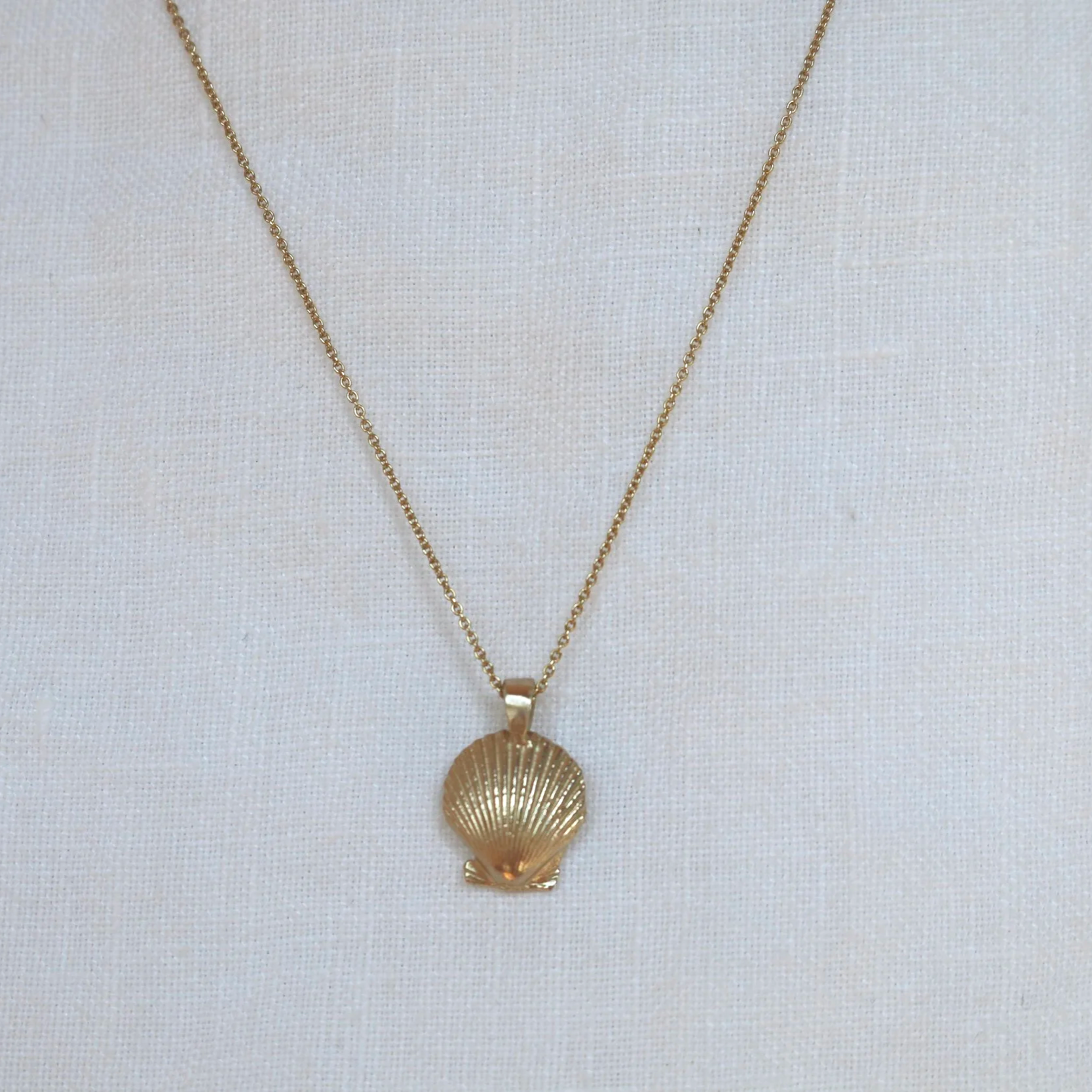 14k+solid+scallop.png