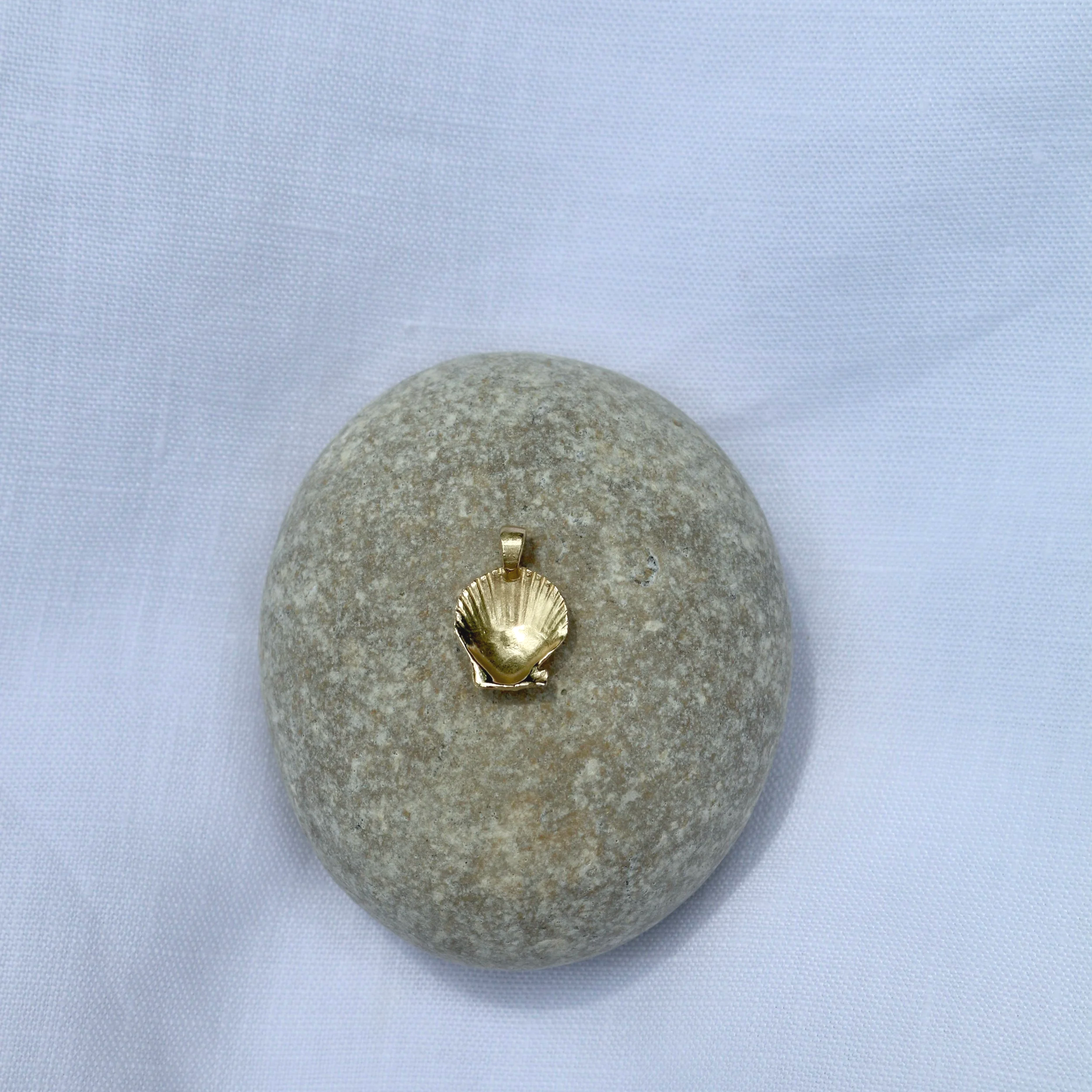 14k+scallop+back.png