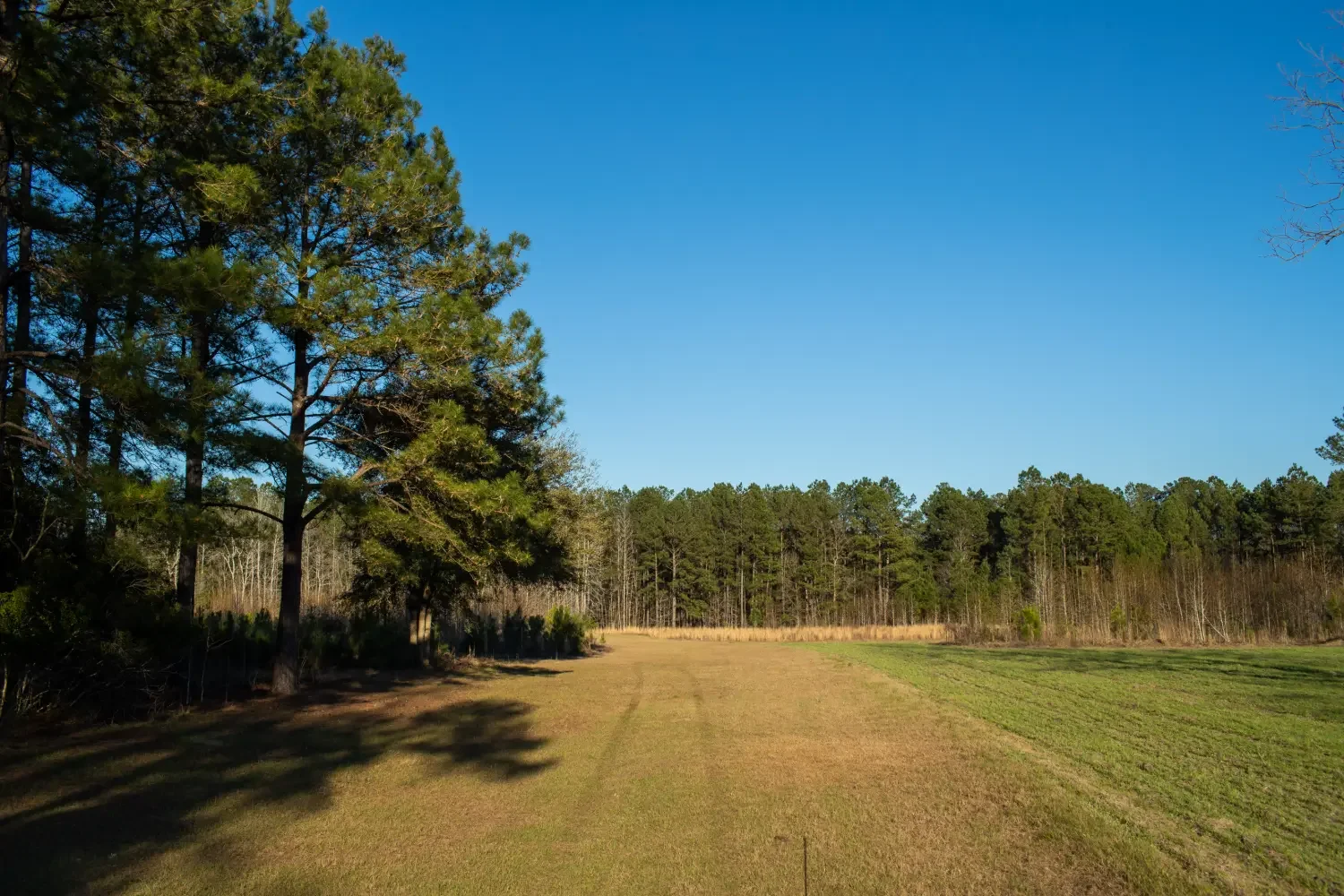 Crockett Plantation-21.webp