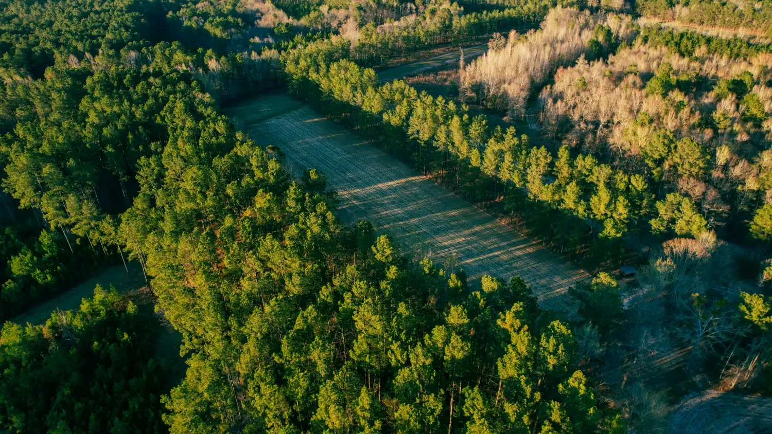 Crockett Plantation-105.webp