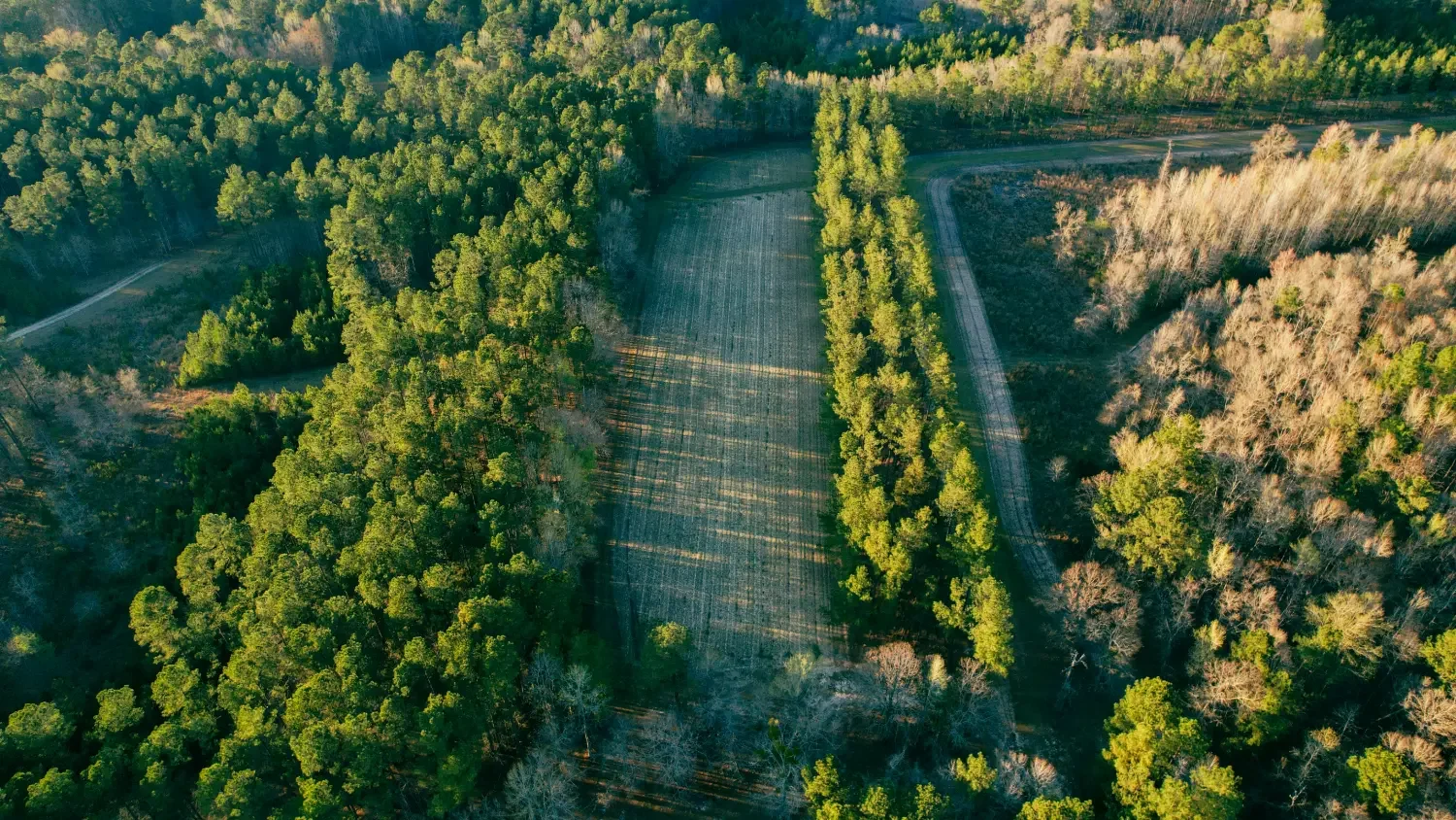 Crockett Plantation-104.webp