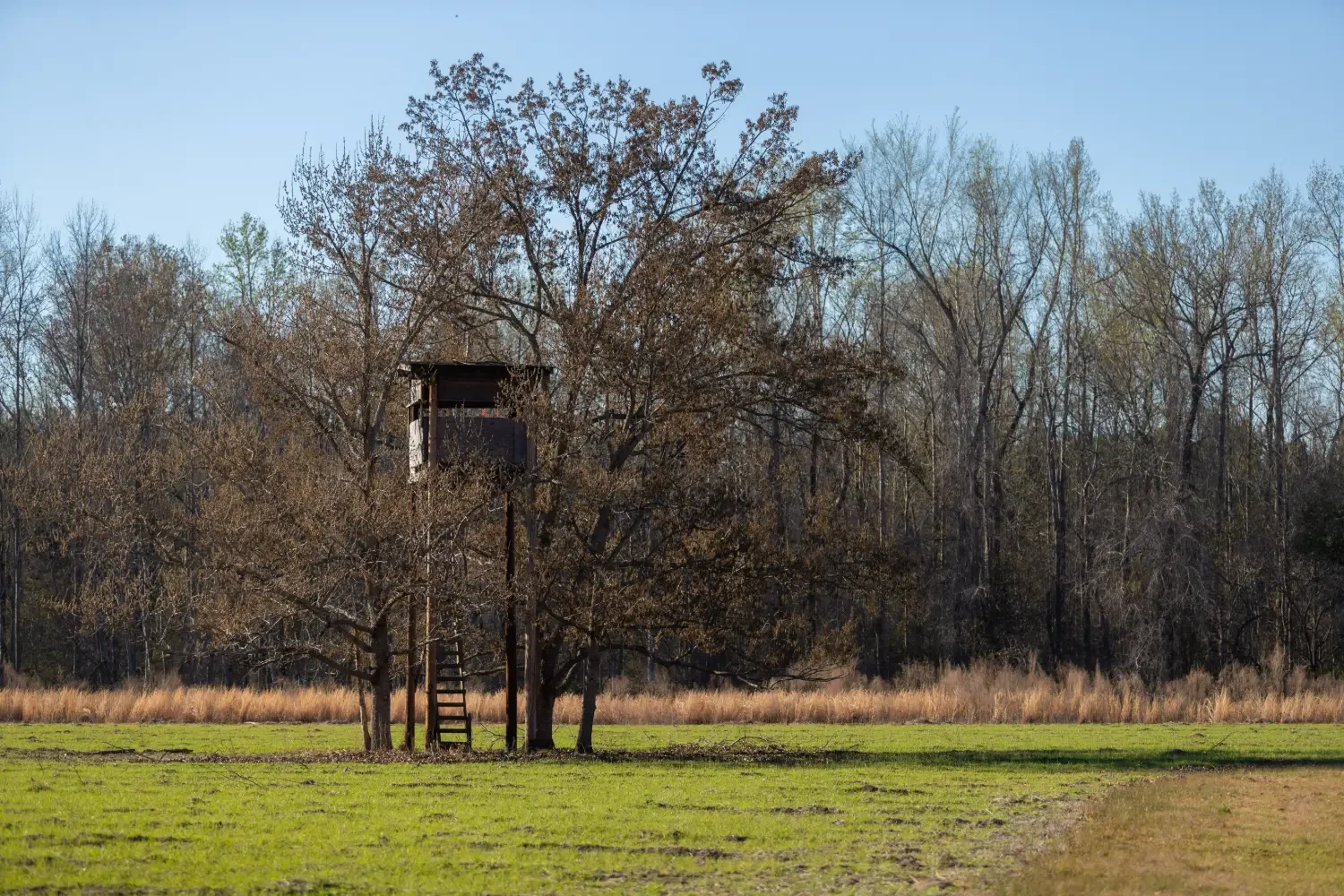 Crockett Plantation-28.webp