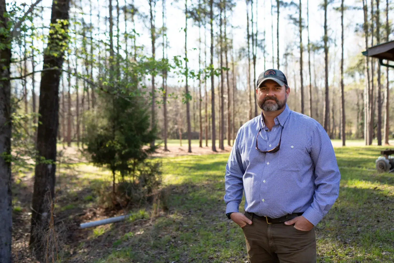 A man with a beard wearing a blue checkered shirt, a baseball cap, and sunglasses hanging from his collar, standing outdoors in a forested area with tall trees and sunlight.