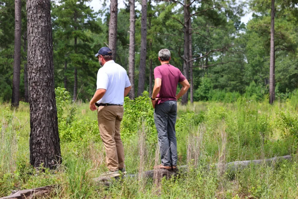 Two men walking through a forested area during daytime, surrounded by tall trees and green foliage.