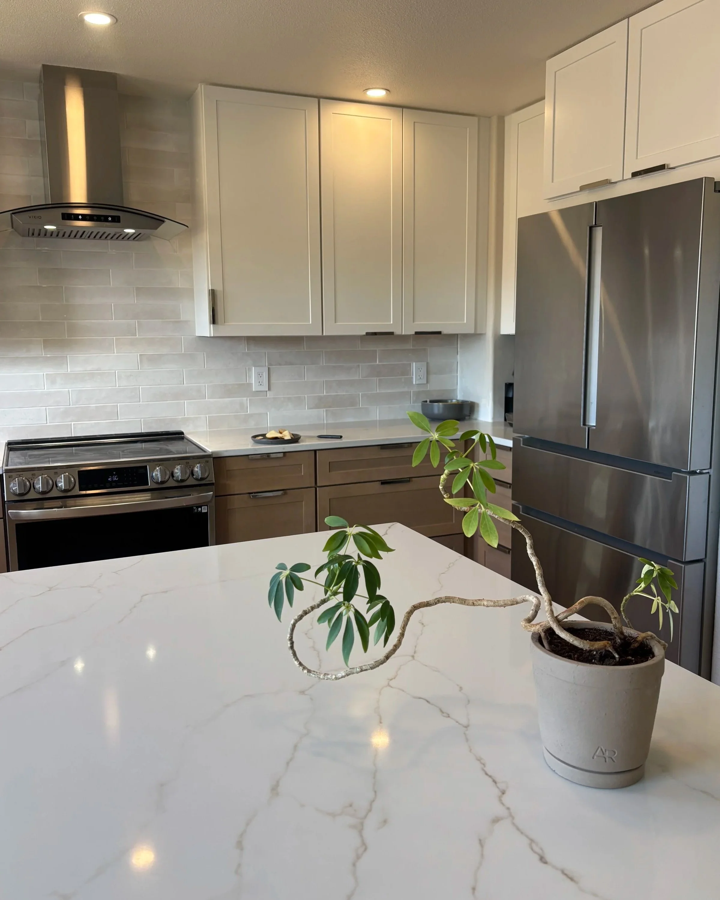 A kitchen with white cabinets, stainless steel refrigerator, and a white marble countertop with a potted plant in the foreground.