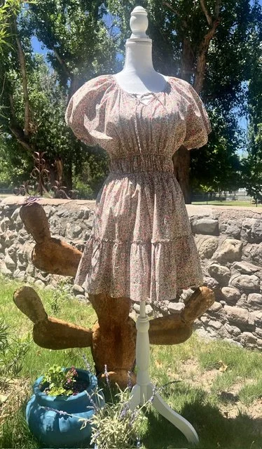 J Crew Floral Gathered Waist Mini Dress Size Small Very Good Condition