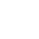 Icon of a shield