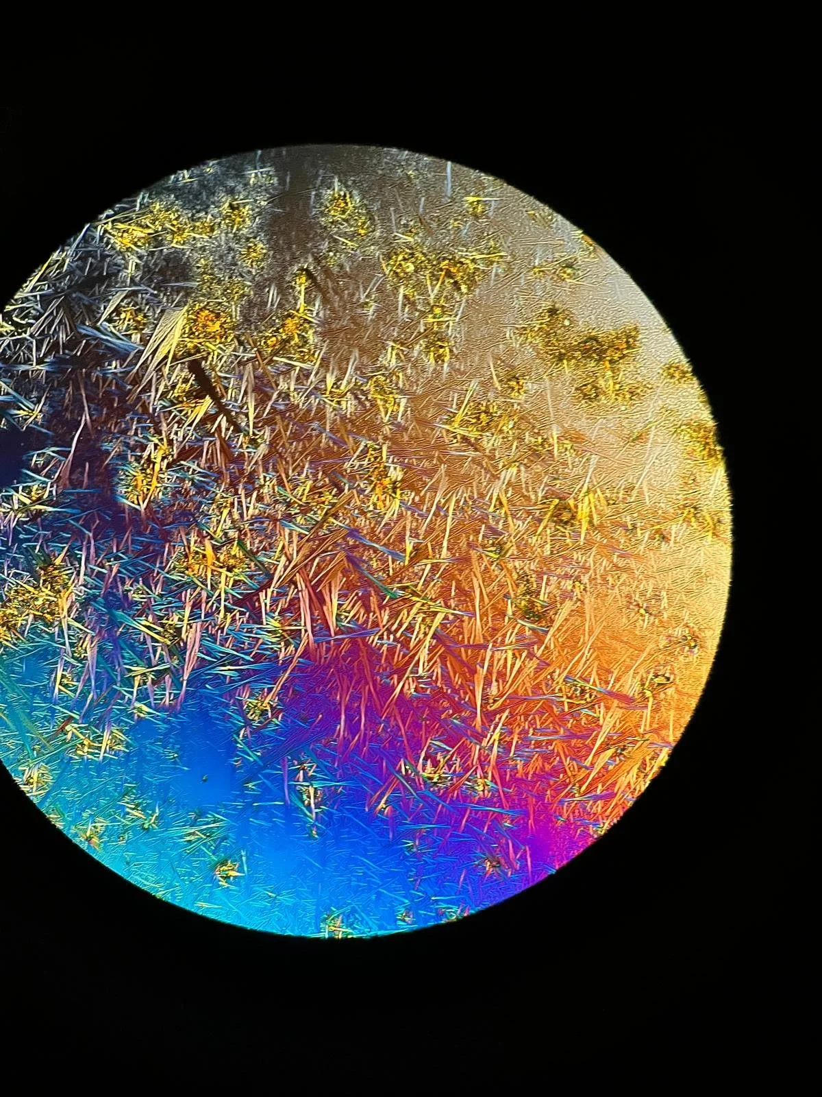 Through the lense: crystalline and amorphous components within a unified formulation.