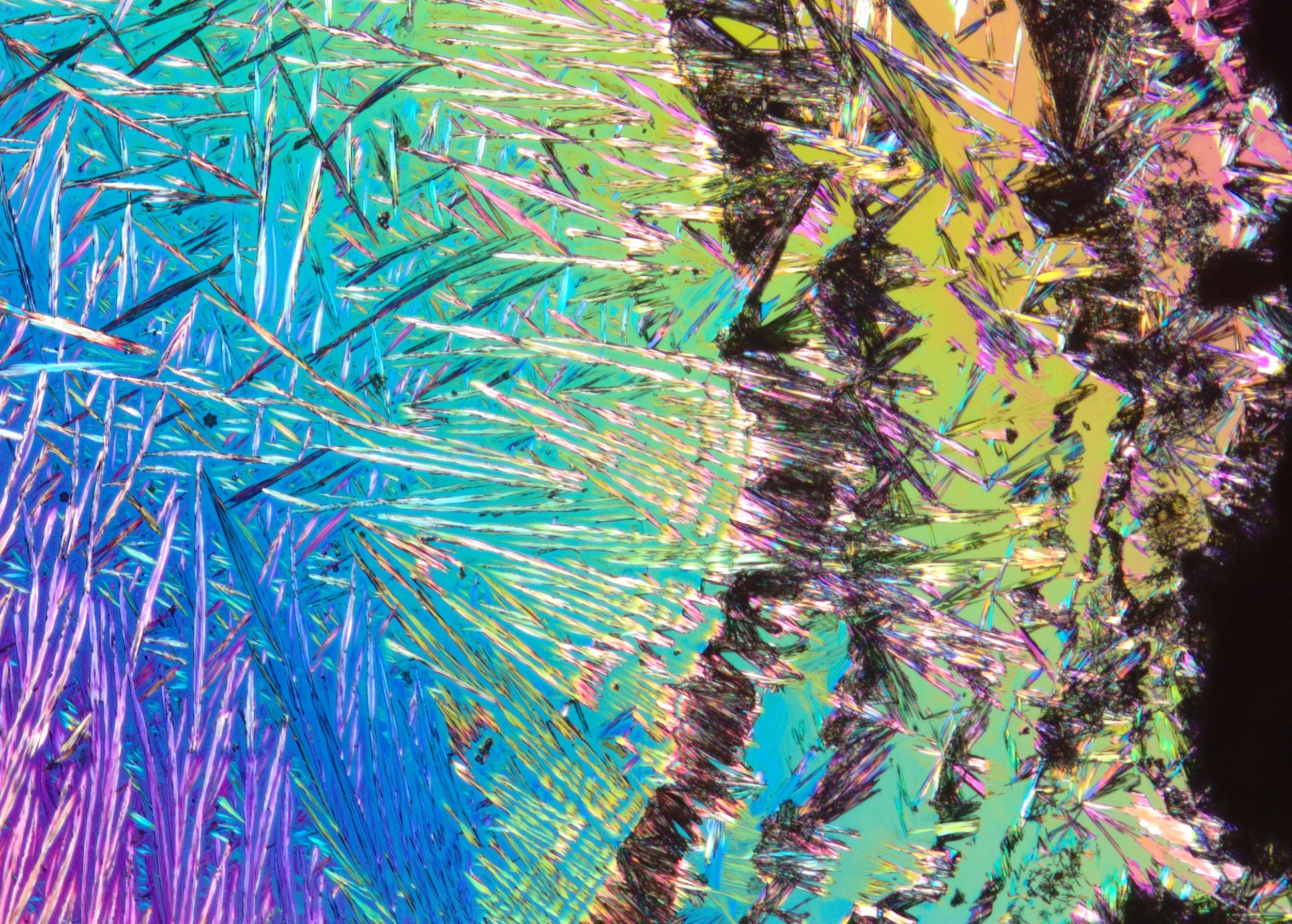 Microscopic structure of caffeine - one of the most researched performance ingredients.