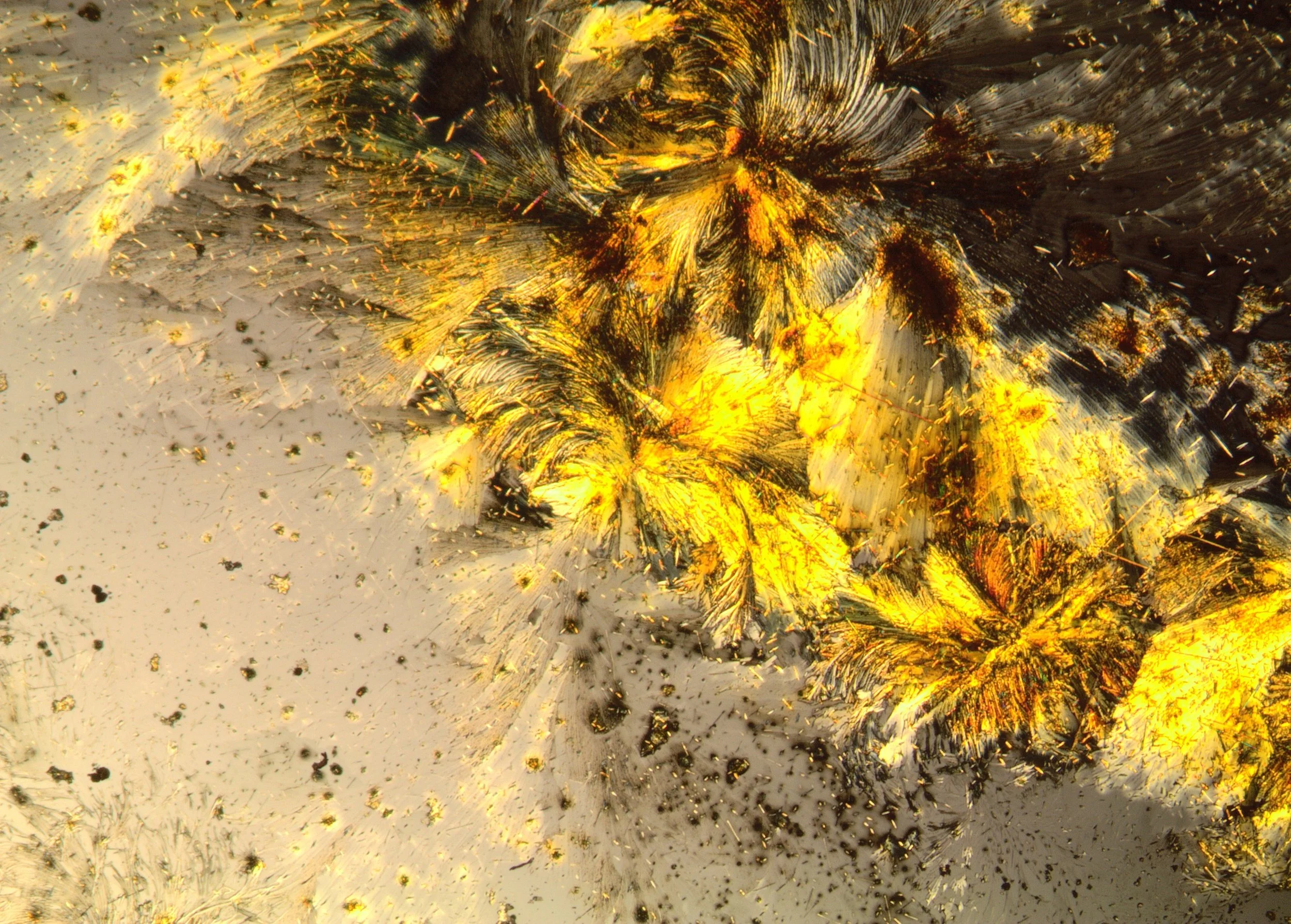 The Enduro formulation.