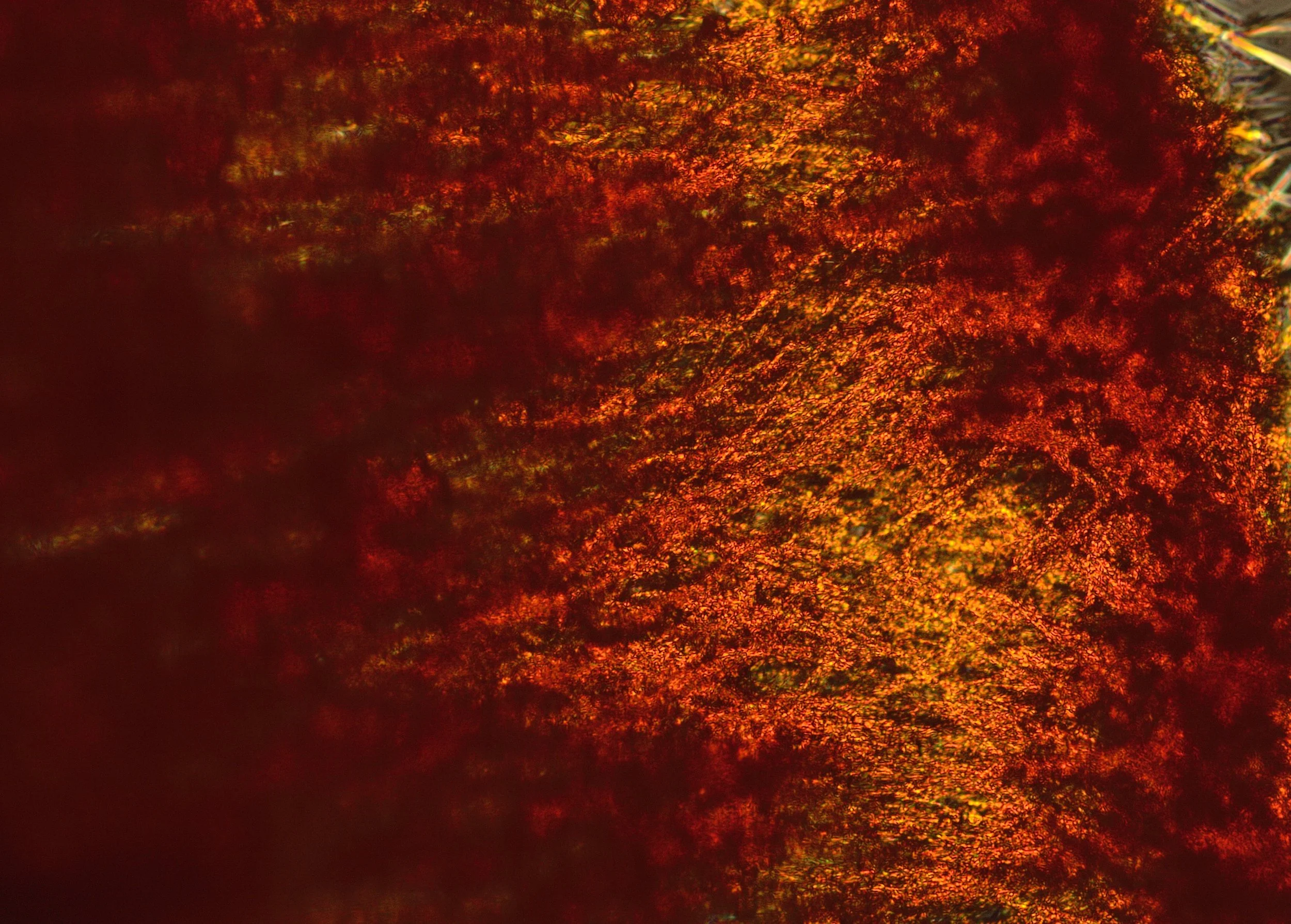 Crystalline and amorphous components within a unified formulation.