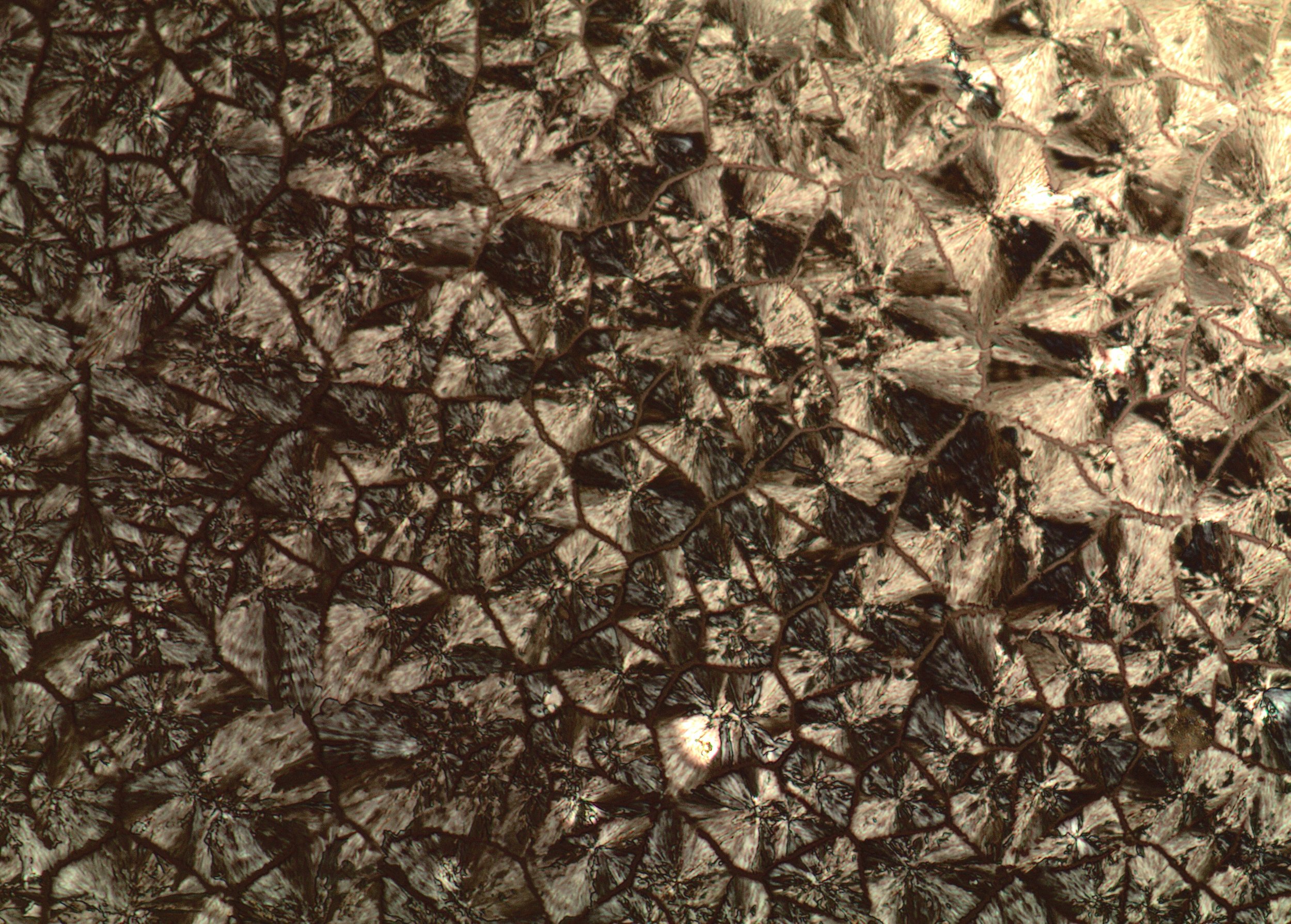 Distinct crystal morphology of thiamine under a polarised microscope.