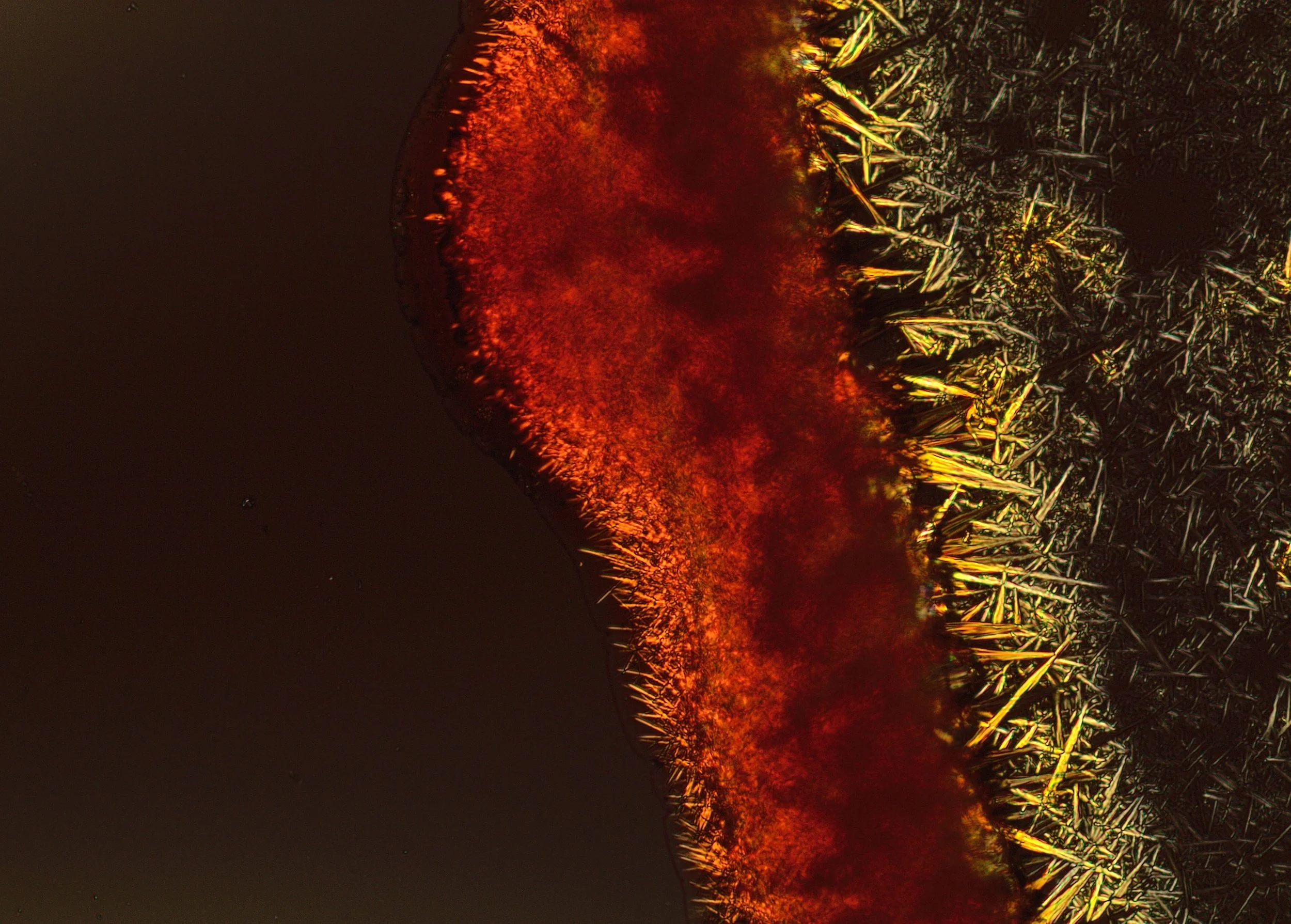 Multiple active compounds structured within a single delivery system. Including COQ10, NADH, B-vitamin complex and caffeine. 