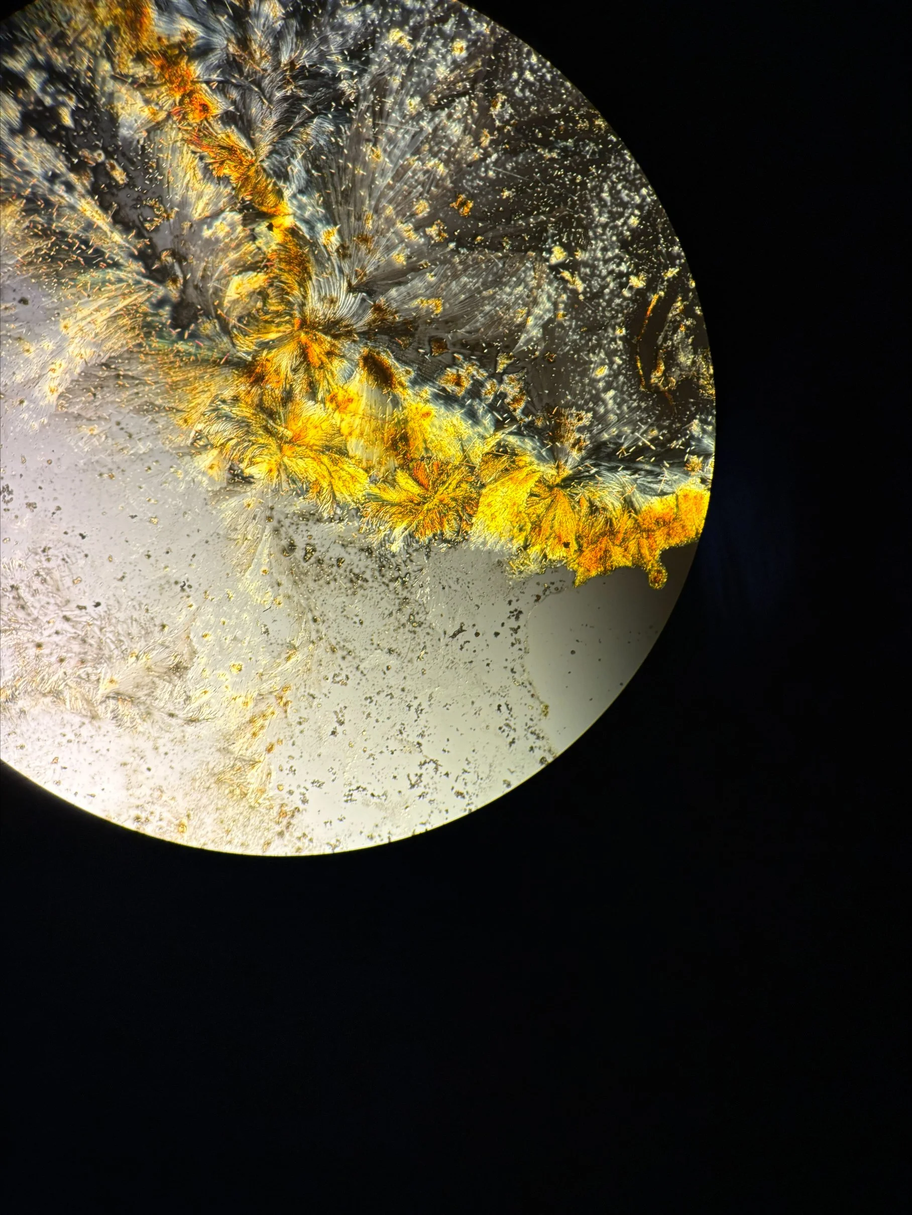 Enduro through the lense.