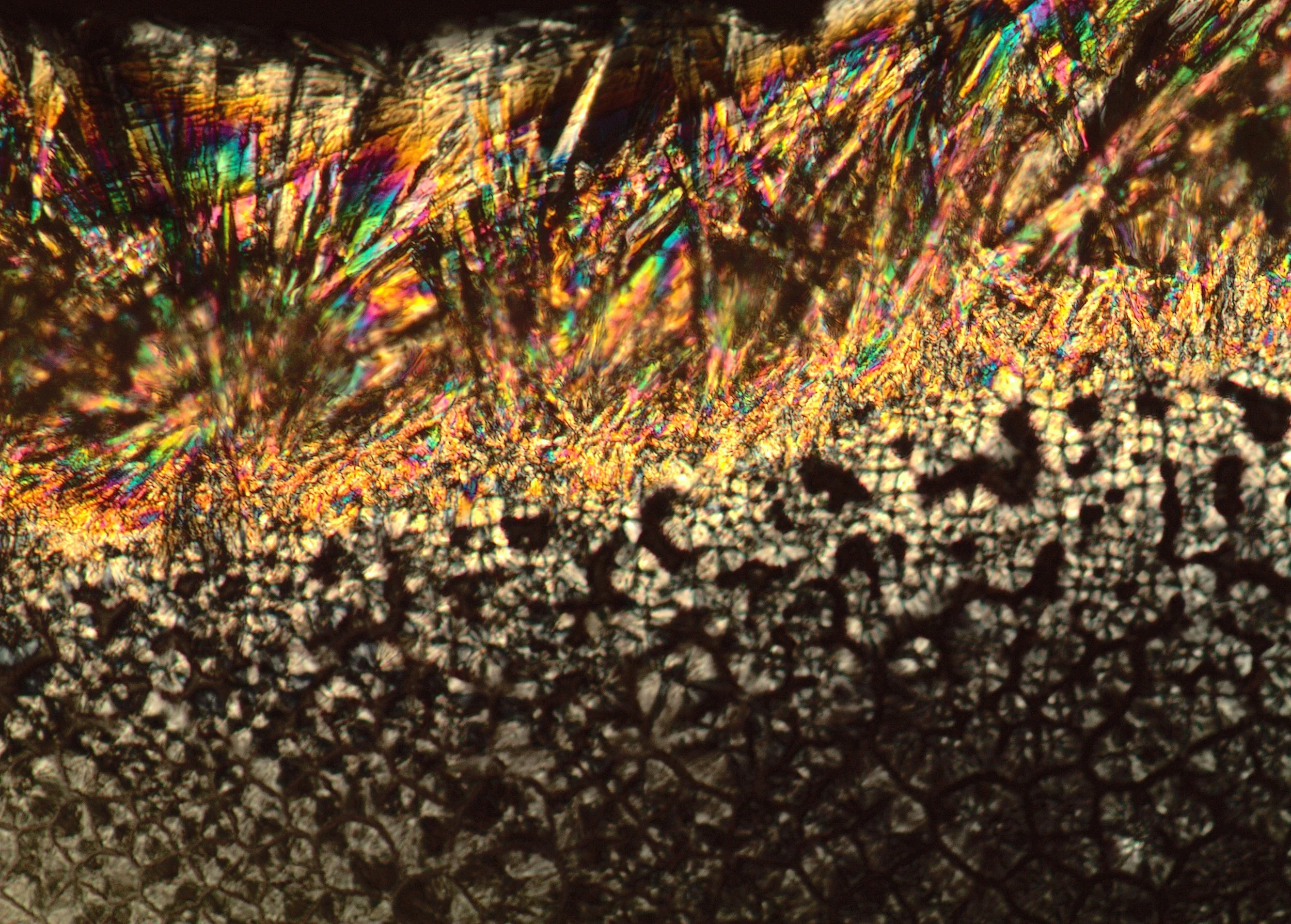 Distinct crystal morphology of thiamine under a polarised microscope.