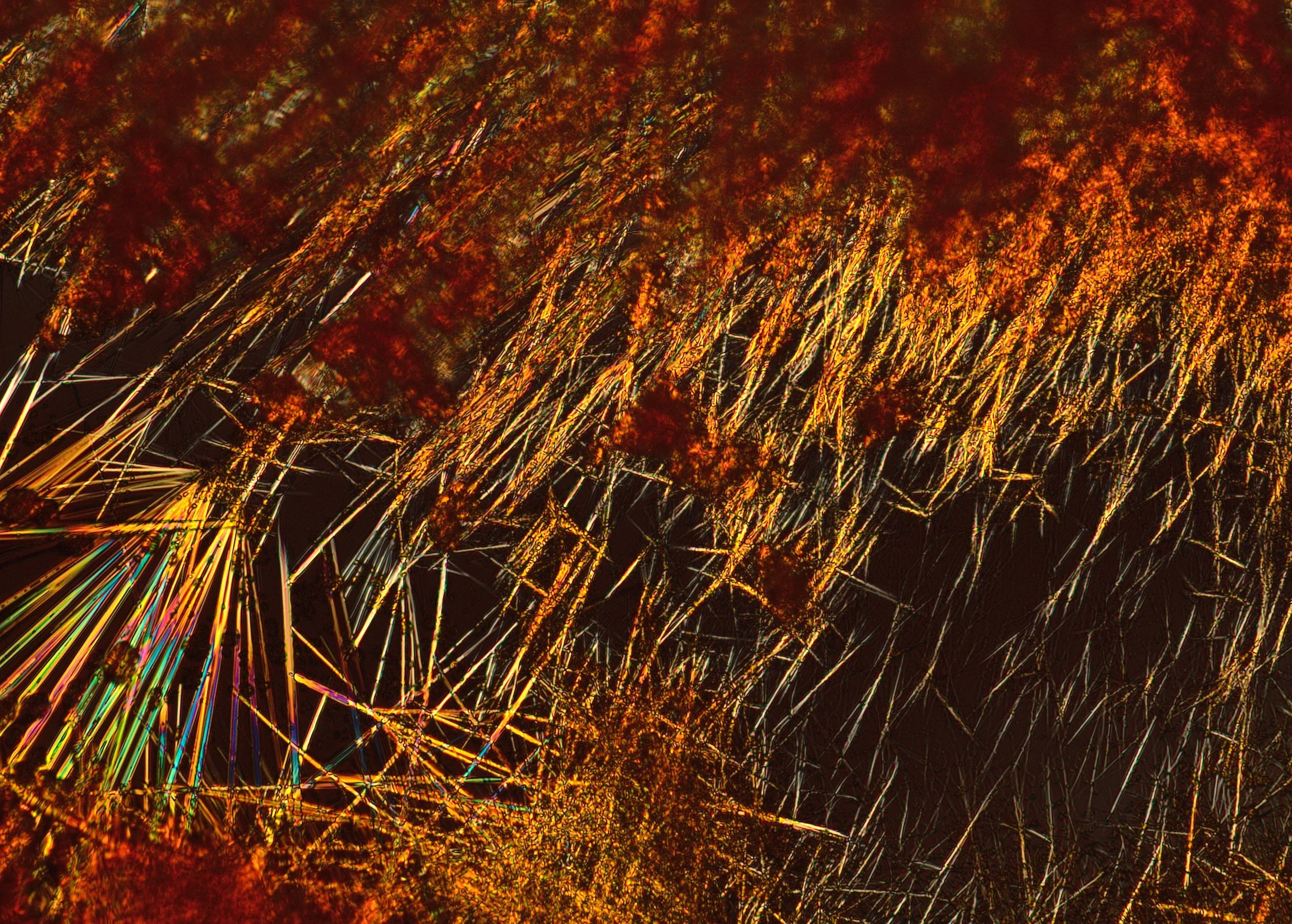 Multiple active compounds structured within a single delivery system. Including COQ10, NADH, B-vitamin complex and caffeine. 