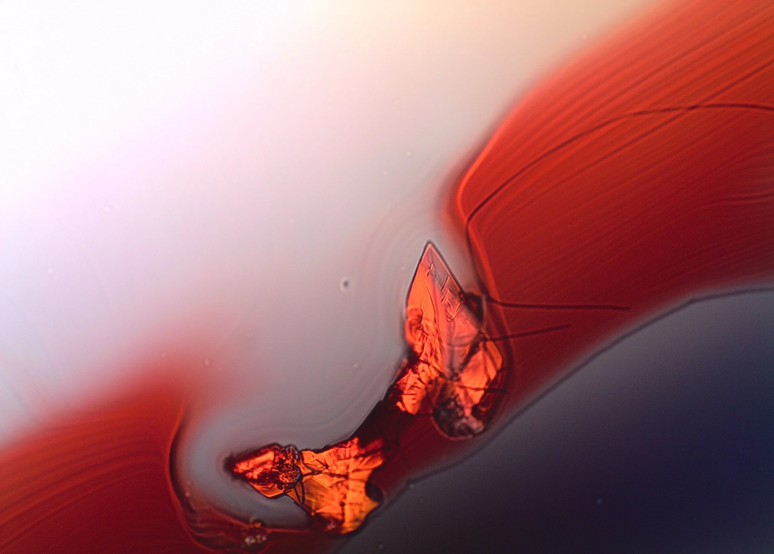 Microscopic crystalline structure of  methylcobalamin.