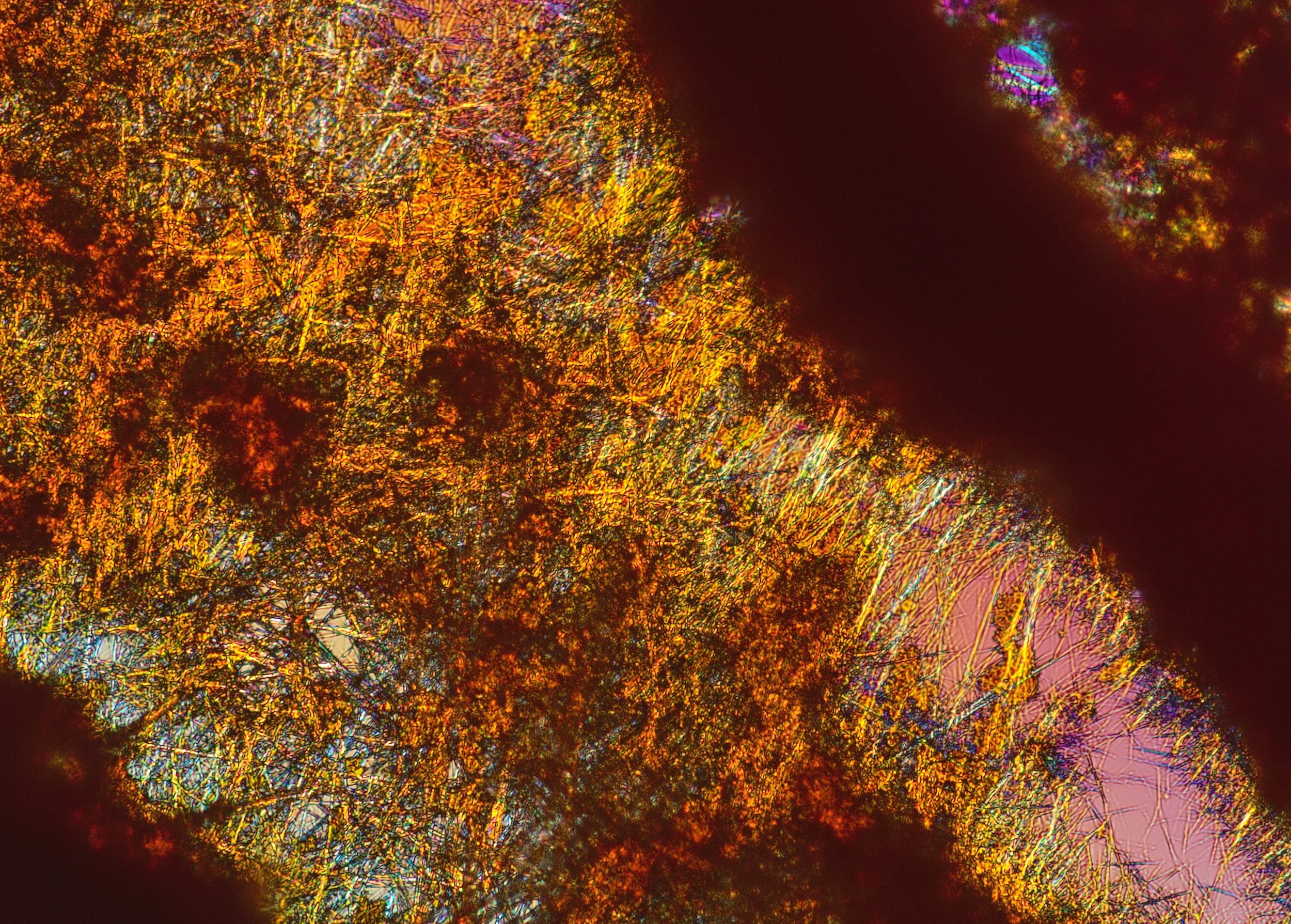 Multiple active compounds structured within a single delivery system. Including COQ10, NADH, B-vitamin complex and caffeine. 