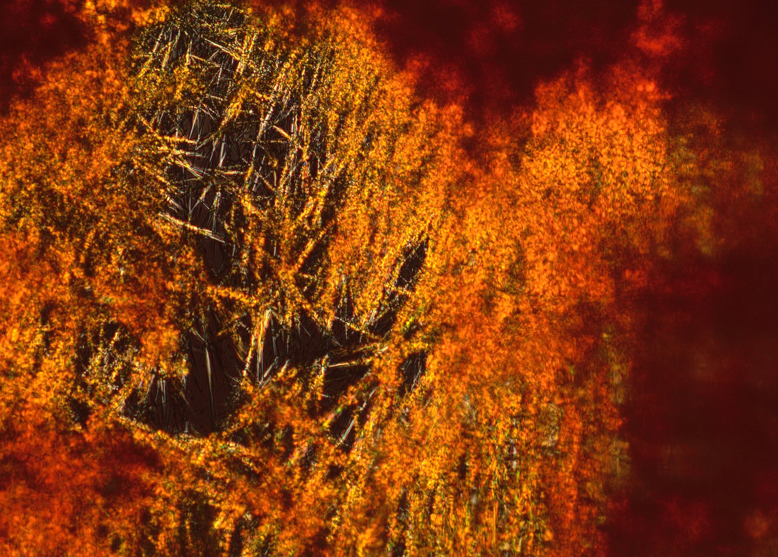 Crystalline and amorphous components within a unified formulation.