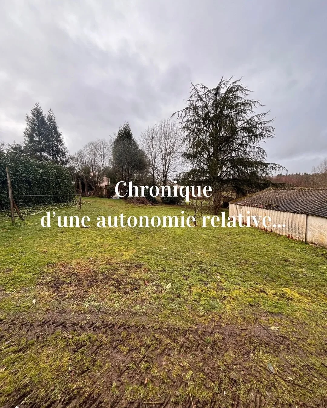 16 janvier 2026, 9h26, bonjour.

Aujourd&rsquo;hui jour 1 de mon projet : je fais des bocaux pour l&rsquo;hiver avec ce qu&rsquo;il y a dans mon jardin. 
Jour 1: il n&rsquo;y a rien dans mon jardin. Bon app&eacute;tit. 

Ma pr&eacute;cieuse amie, app