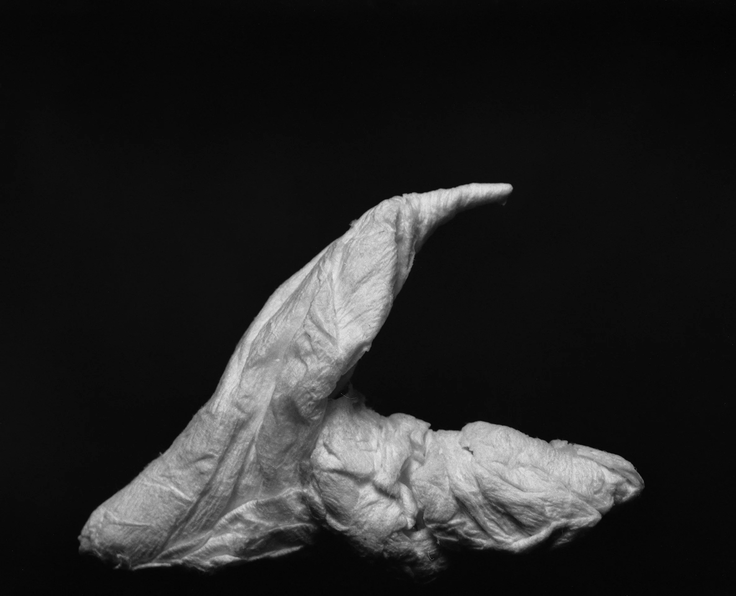 Black and white close-up of a crumpled, textured object resembling a flower or abstract sculpture against a dark background.