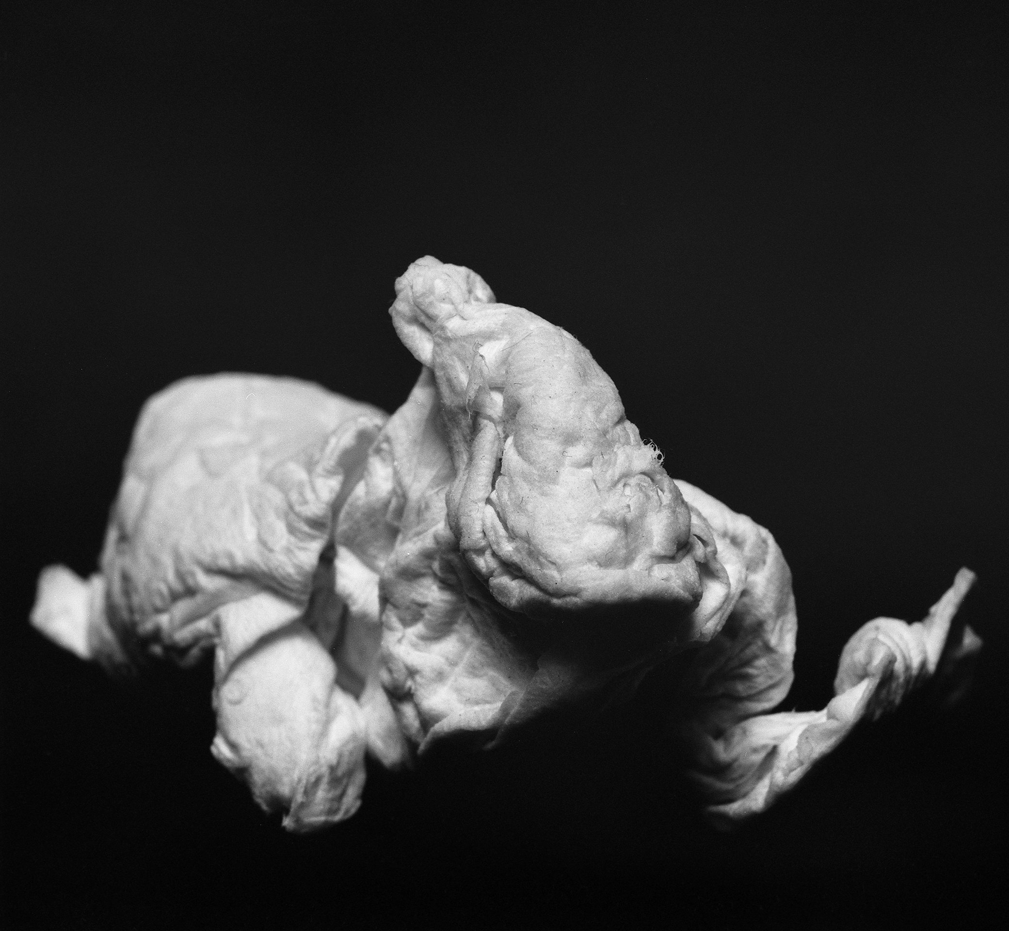 Close-up of a crumpled piece of paper against a dark background.