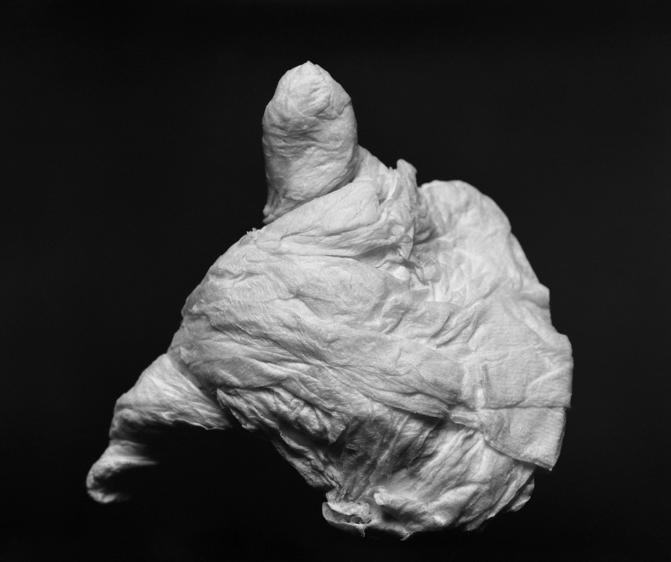 A crumpled tissue or paper with a dark background.