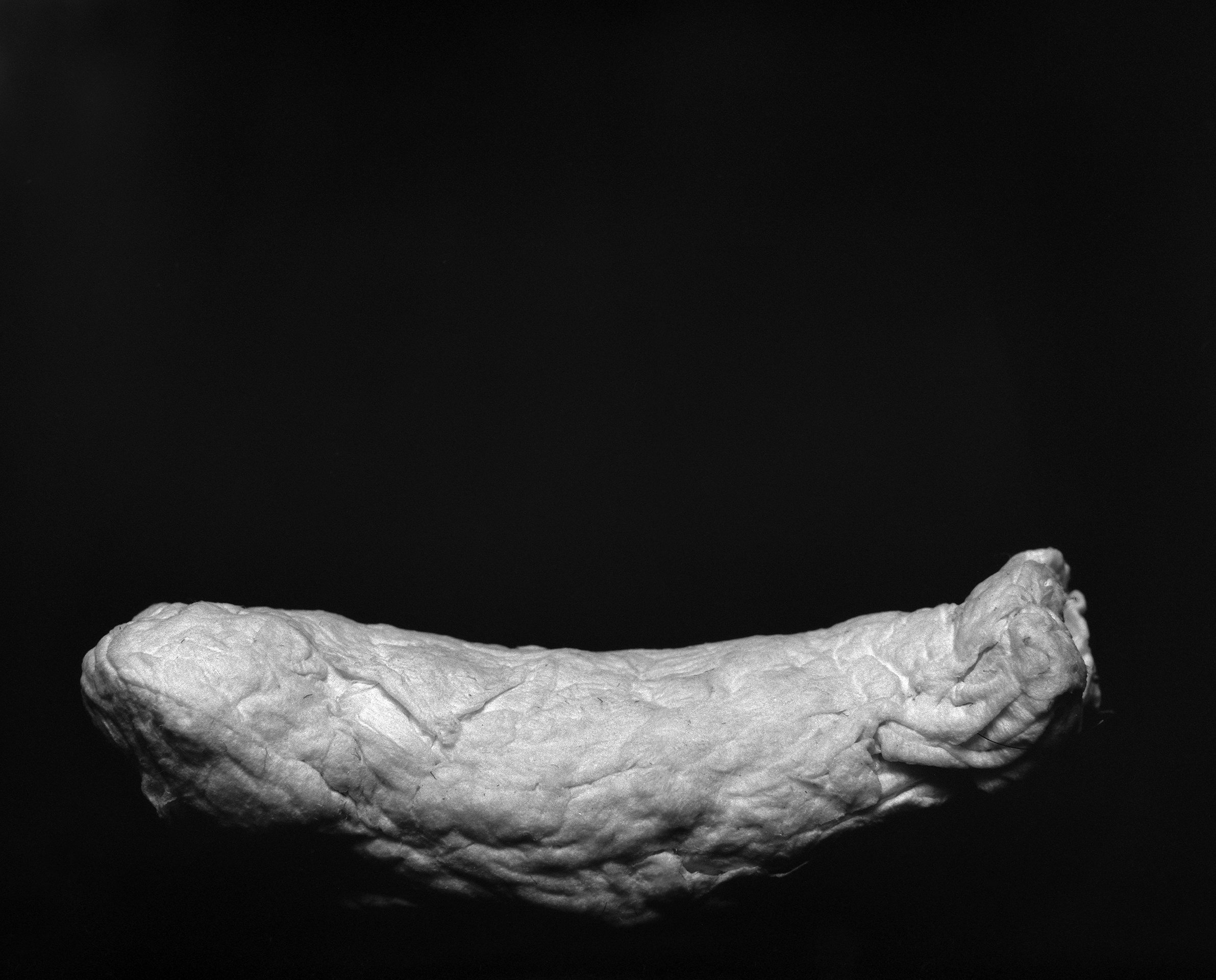 Black and white photograph of a single, large, curved potato chip against a dark background.