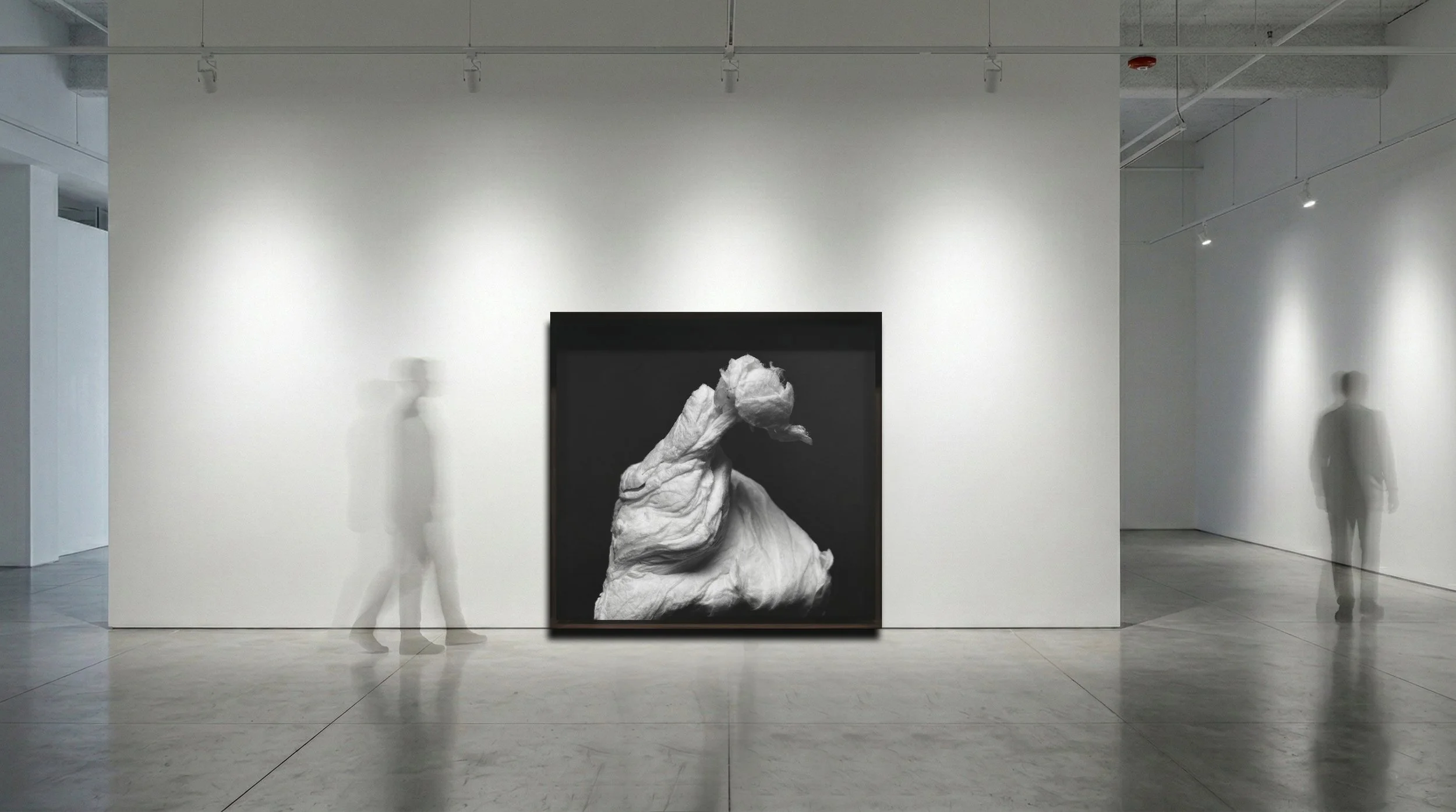 Black and white sculpture of an elderly person's face and hand, framed and displayed in an art gallery with white walls and floors.