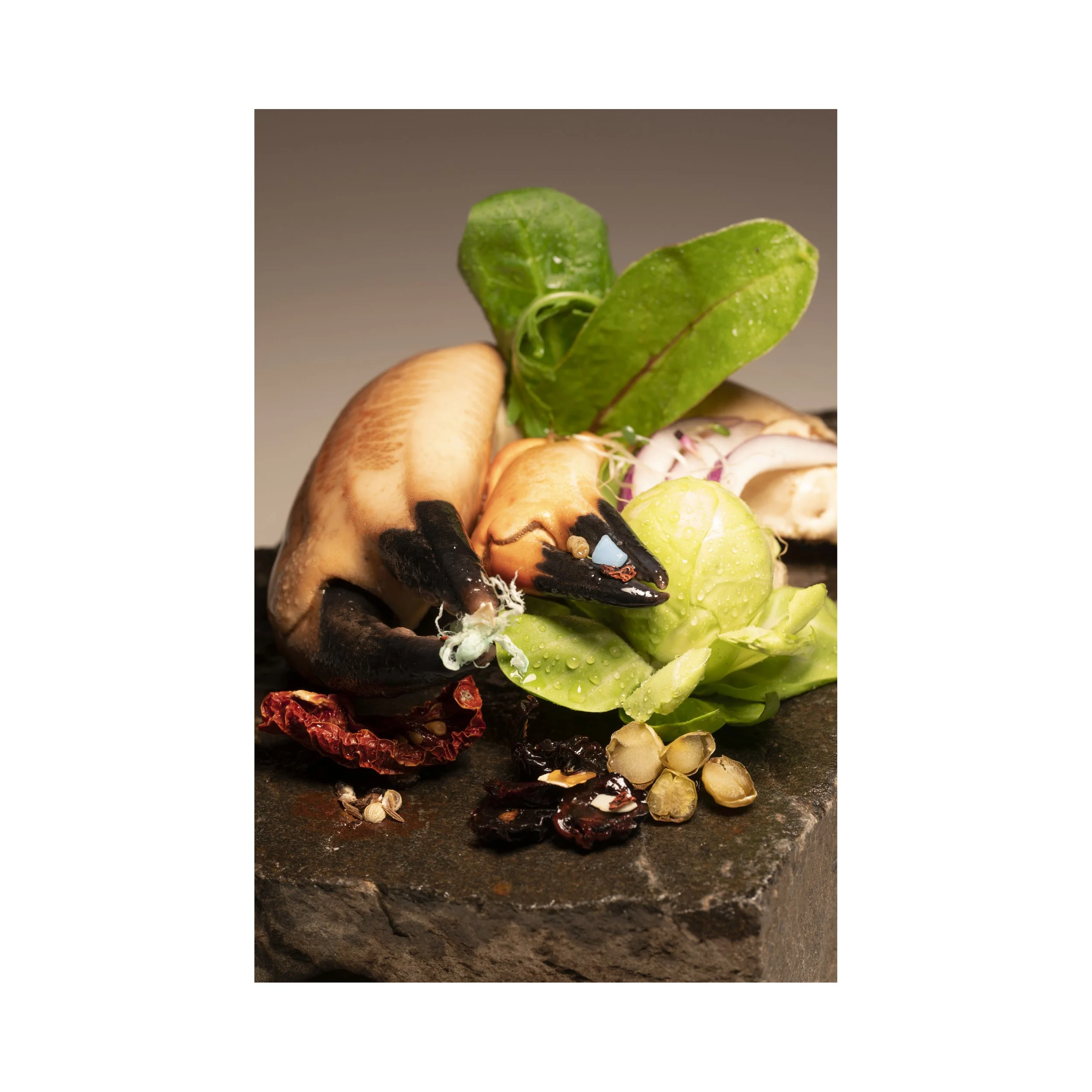 A still life of fresh vegetables and dried ingredients on a dark stone surface, including lettuce, green leaves, onion slices, black chili peppers, and dried chili and seeds.