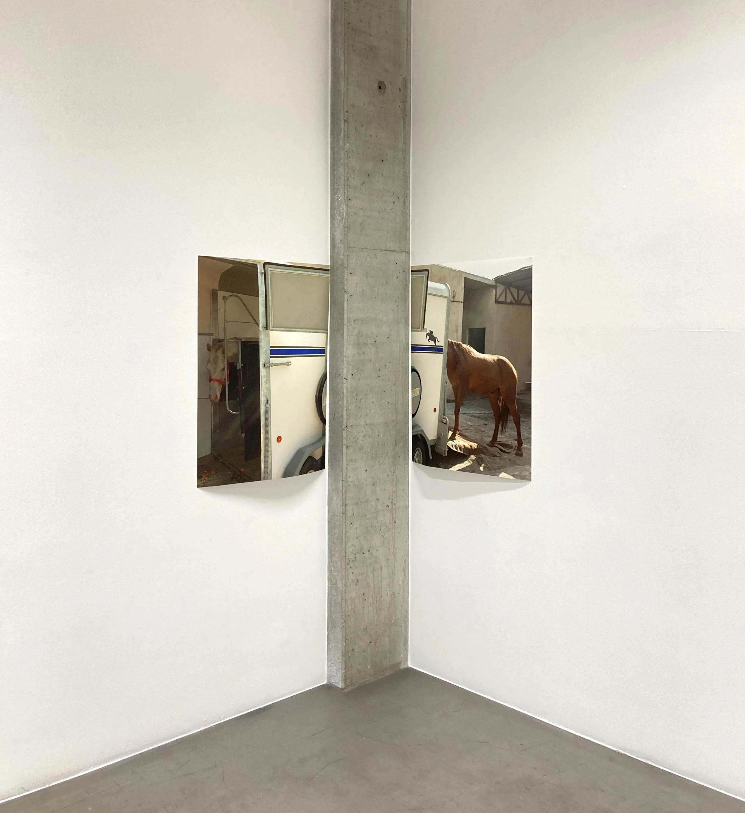 A large square hole in a white wall showing a horse trailer and horses outside.