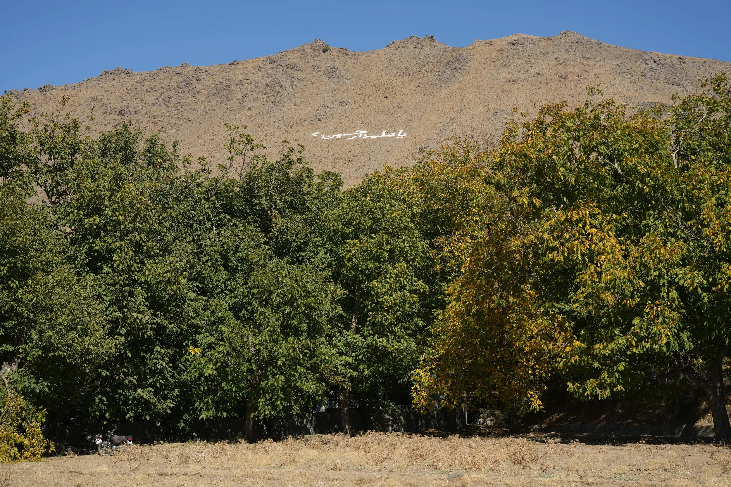 A landscape with a row of green trees in the foreground, a dry, rocky mountain in the background with white board painted lettering, and a clear blue sky.