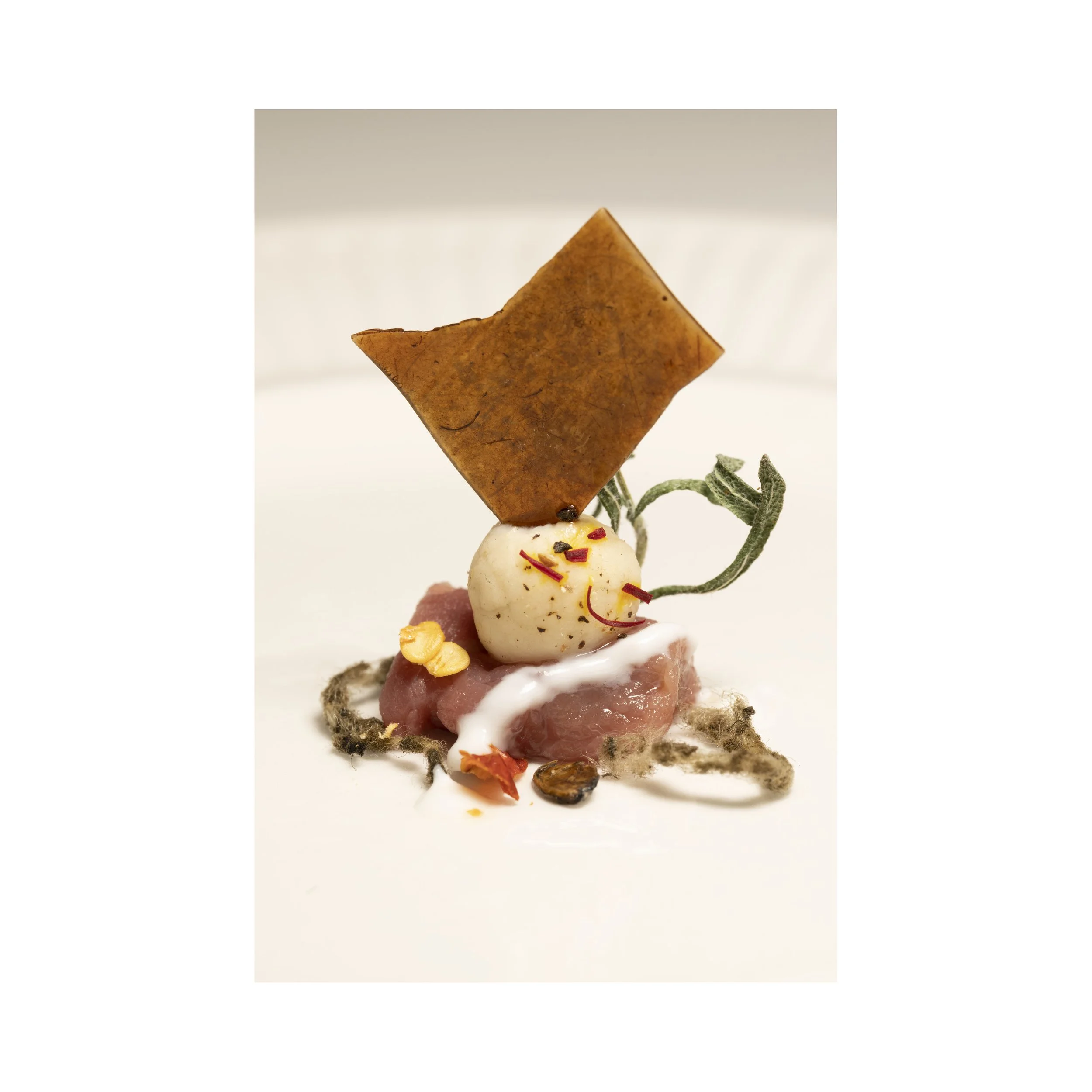 Gourmet dish with a cube-shaped piece of brown food, round white element garnished with herbs, surrounded by various textured ingredients and sauces on a white background.