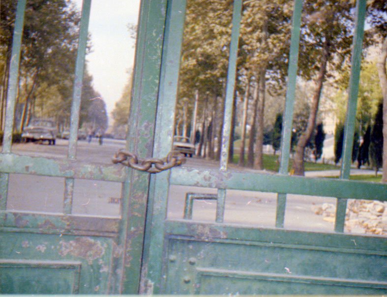 A green metal gate with a chain lock, in a park with trees and benches.